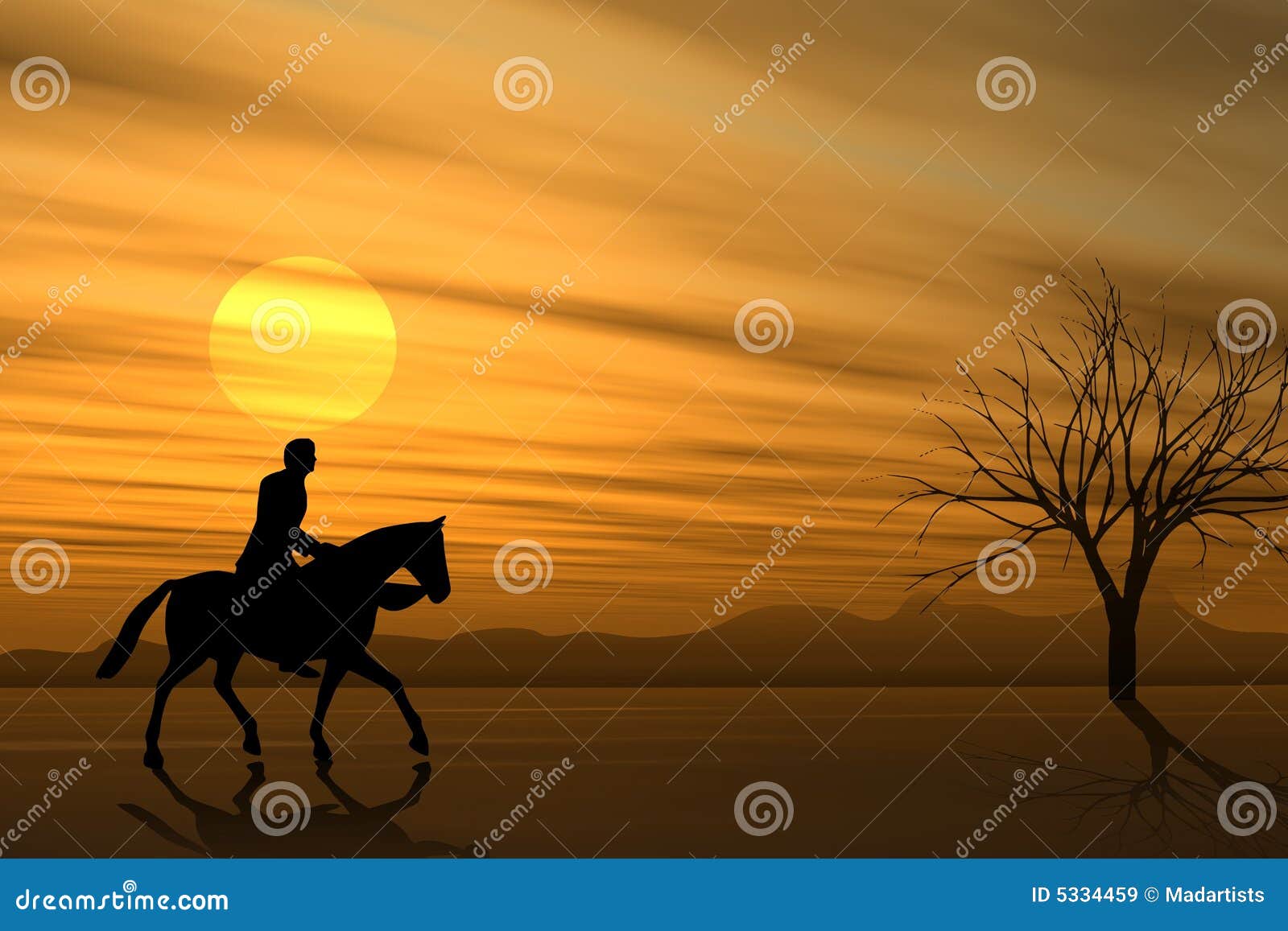 horseback ride at sunset
