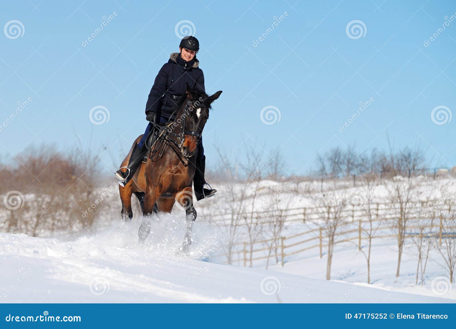 Horseback riding in winter stock photo. Image of freedom 47175252