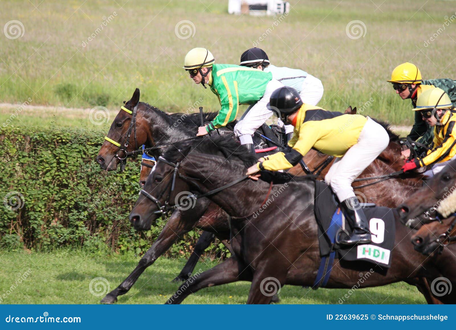Horserace at Scheibenholz in Leipzig Editorial Image Image of horse