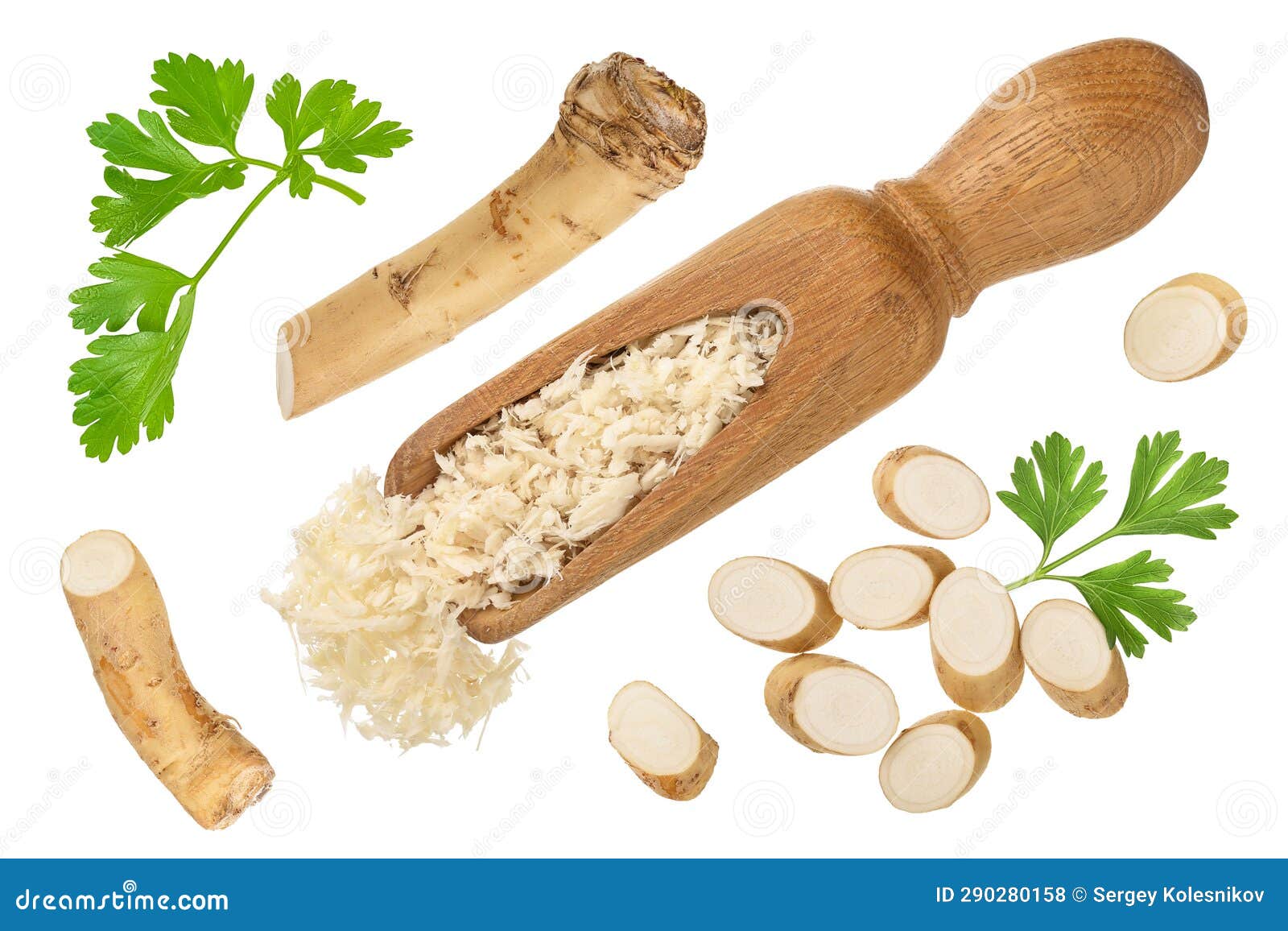 Horseradish Root Grated in Scoop with Slices Isolated on White