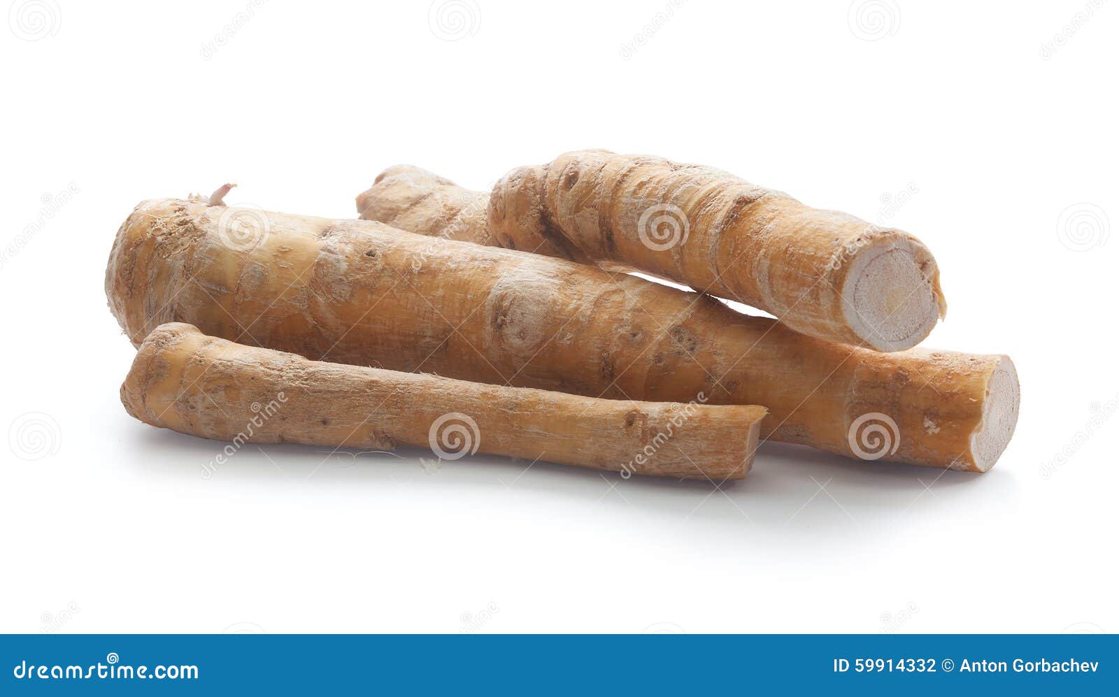 Horseradish root stock photo. Image of meal, path, horseradish 59914332