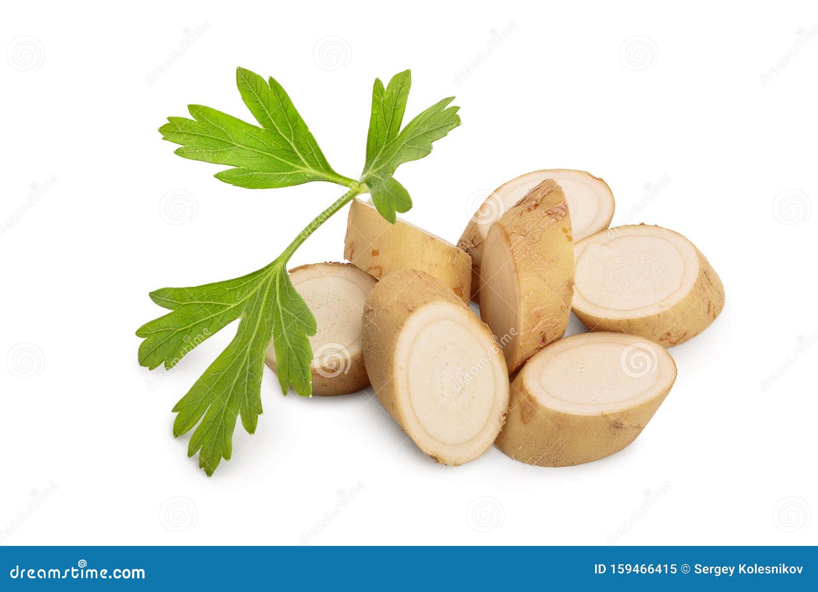 Horseradish Root Slices and Parsley Isolated on White Background Stock
