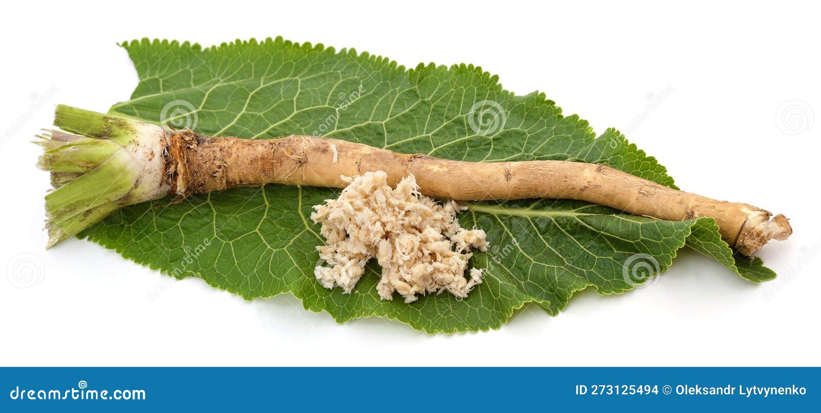 Horseradish Roots and Leaves Stock Photo Image of product, weed