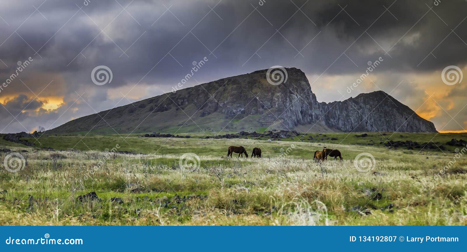 horses grazing before rano raraku during sunset