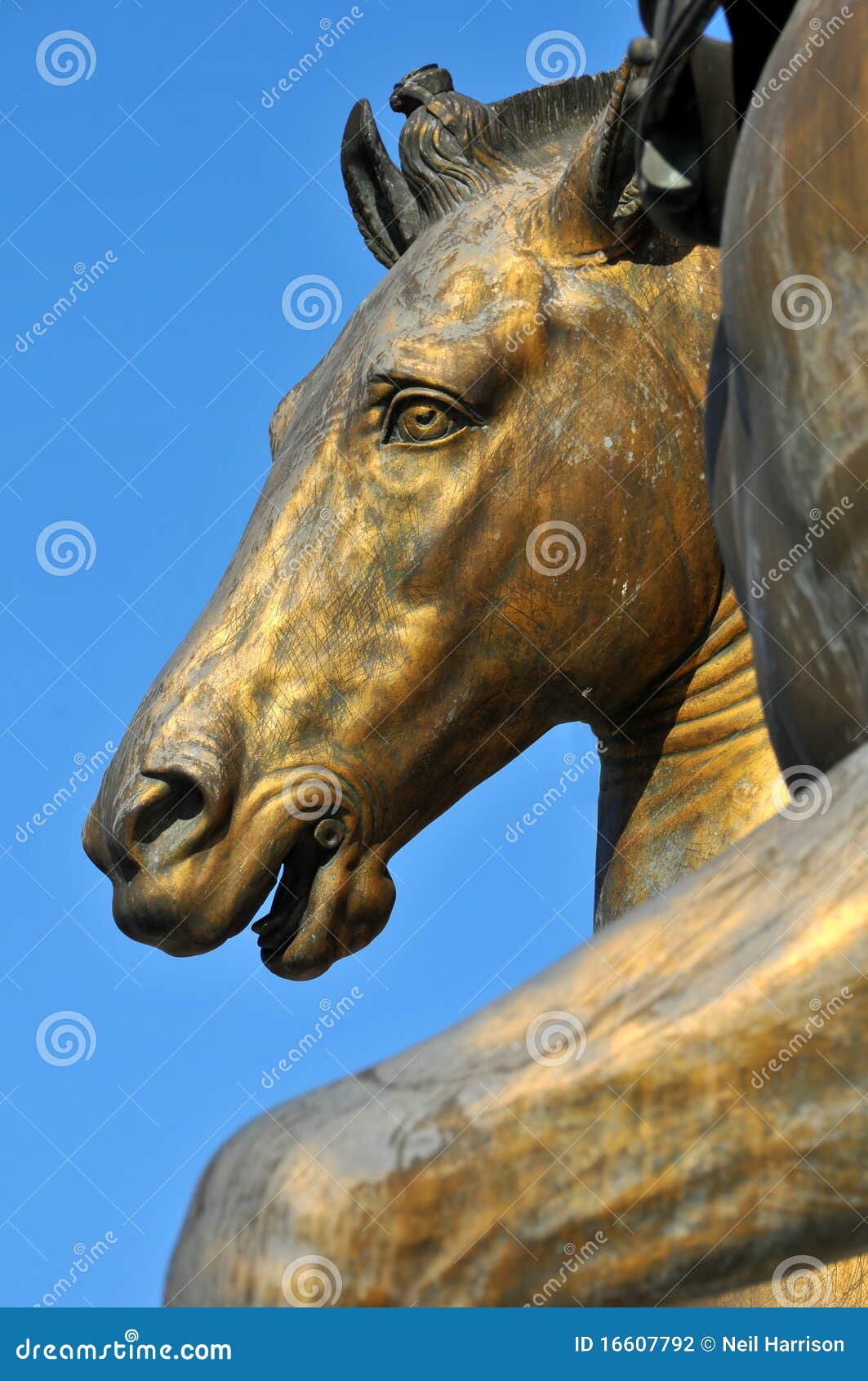 Horses Head stock photo. Image of lysippos, catholic 16607792