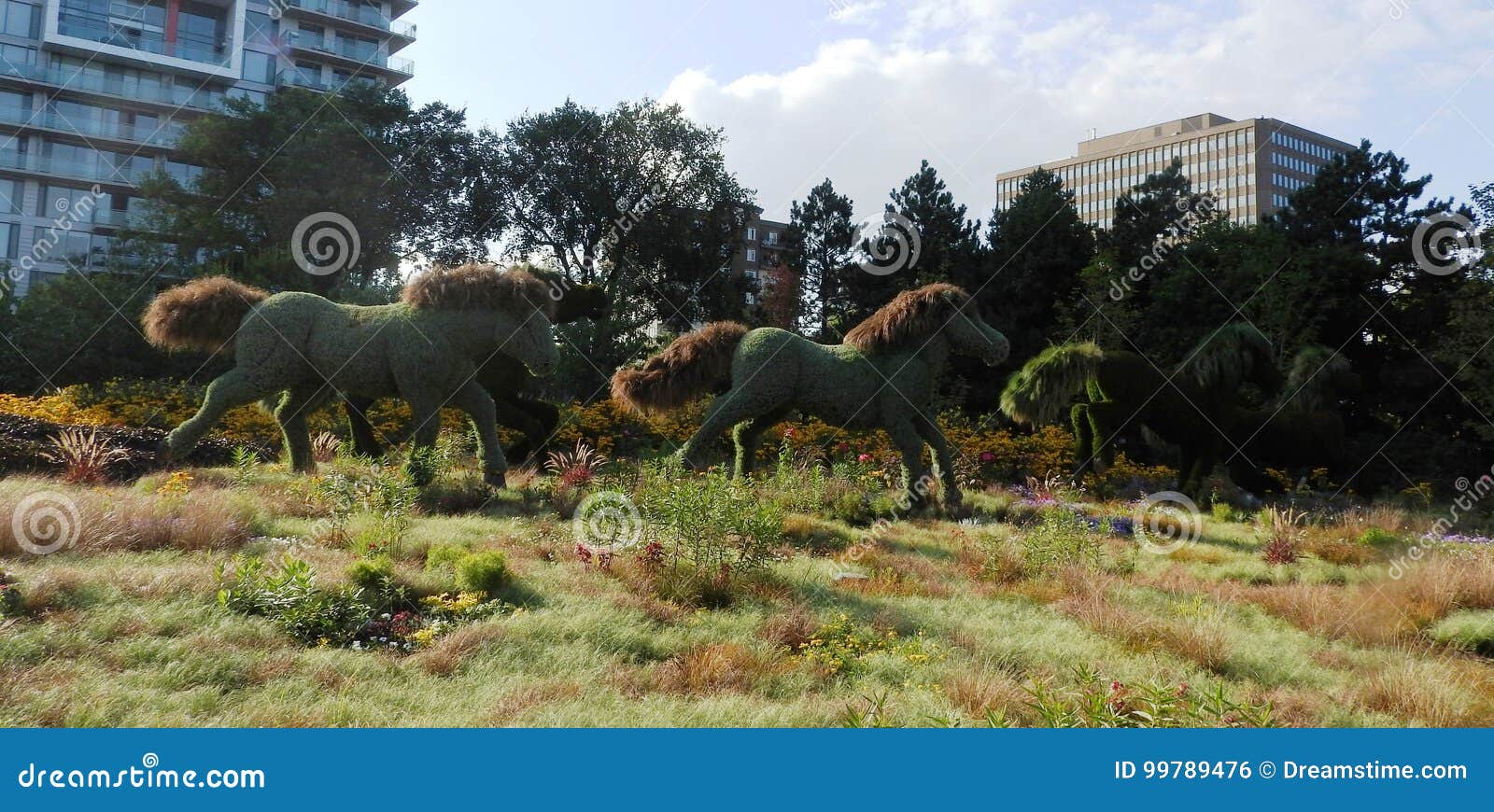 Horses editorial photo. Image of architecture, hand, floating 99789476