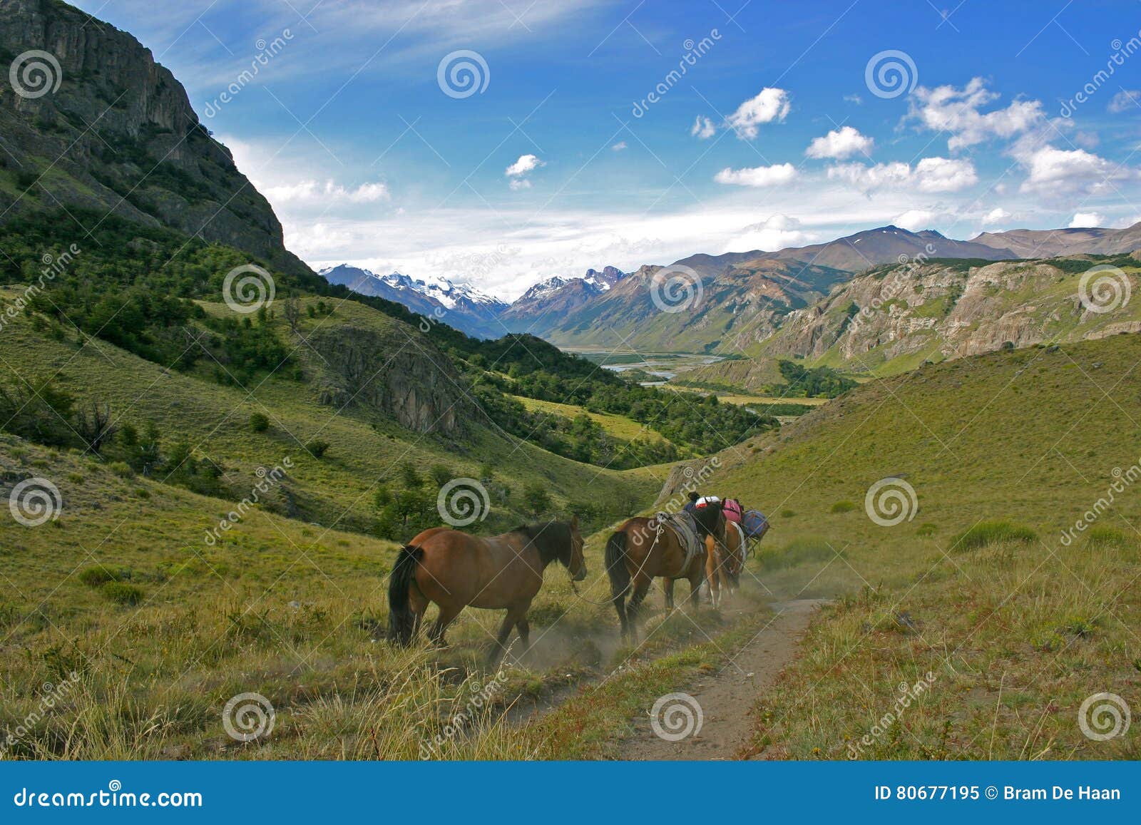 horses in the hills of patagonia near el chalten