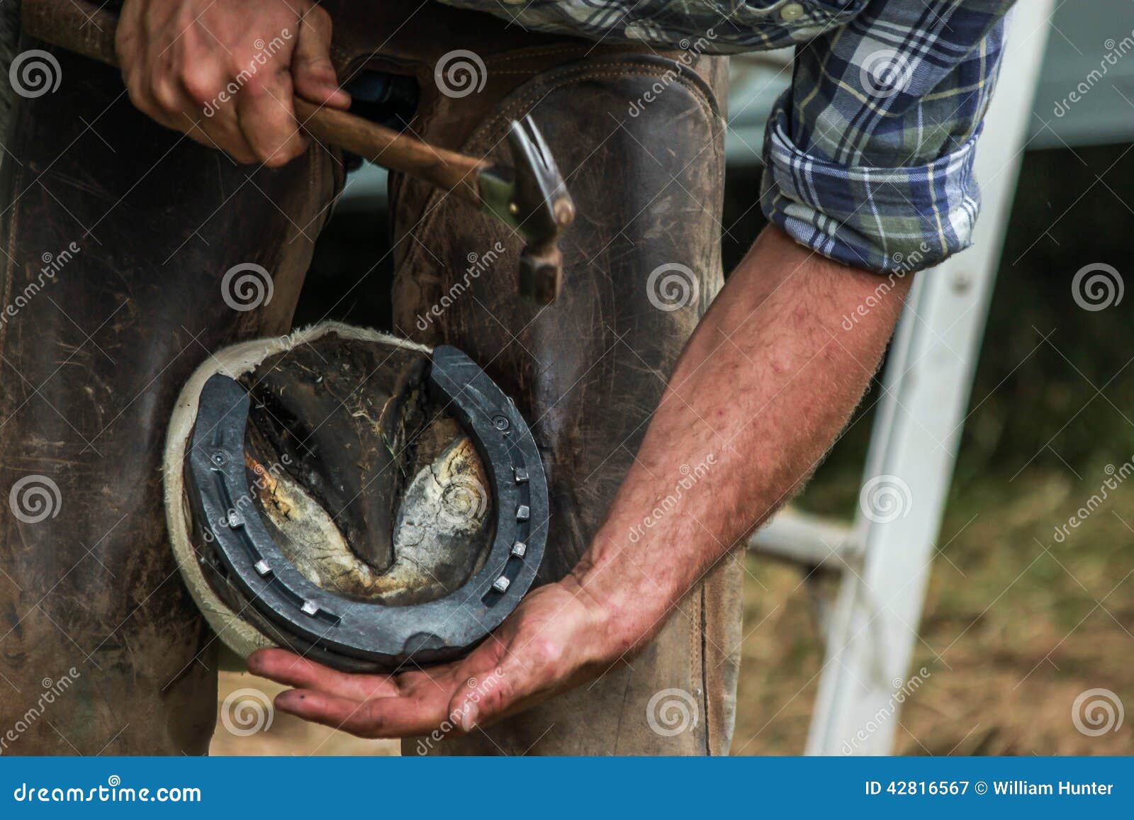 Horseshoe, Shoeing, Farriers, Blacksmiths