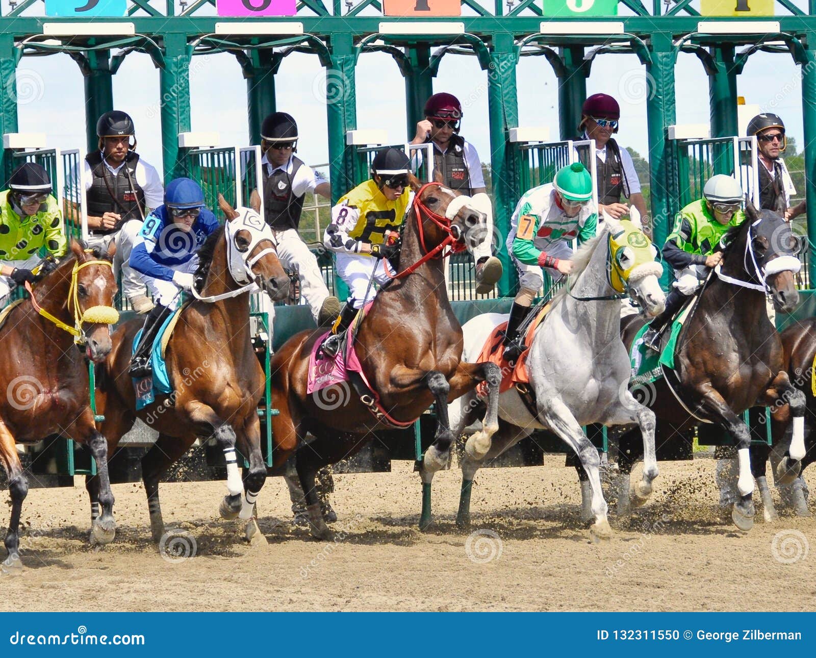 Chunnel Leaping Out Of The Starting Gate Editorial Image Image Of Harpoon Roll