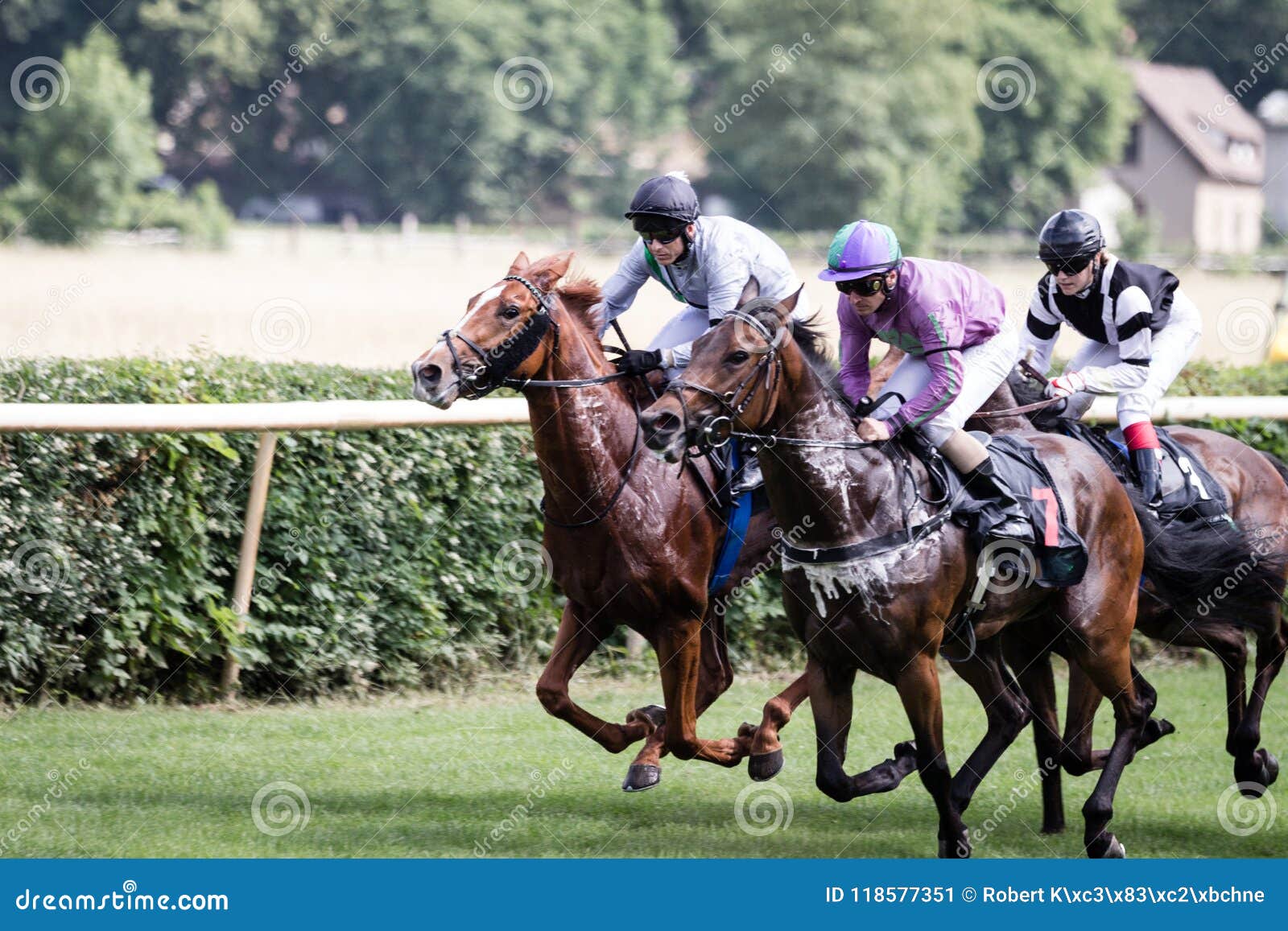 Horses and Jockeys at a Horse Racing Editorial Photo Image of