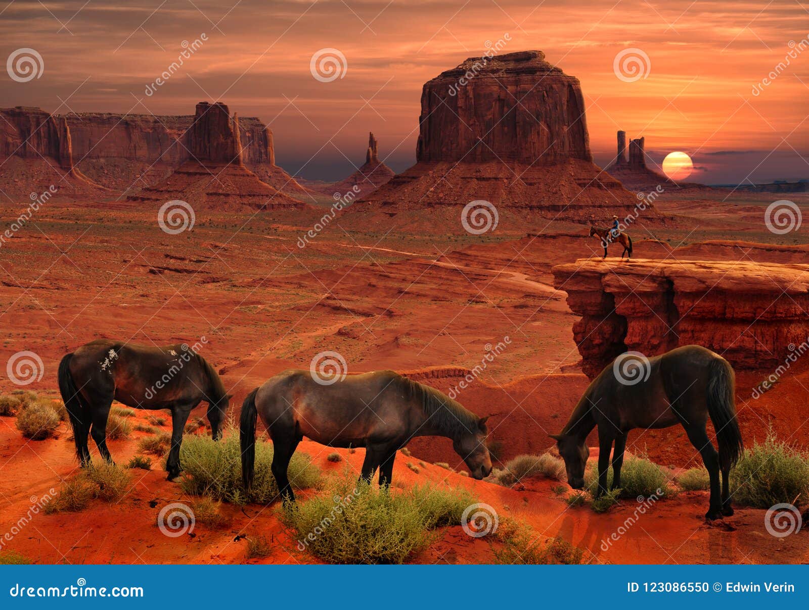 horses at john ford`s point overlook in monument valley tribal park, arizona usa