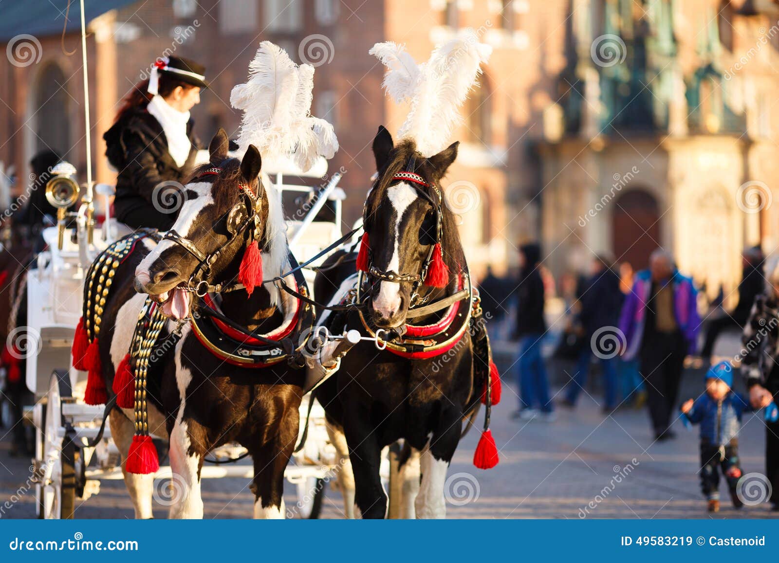 horses in krakow