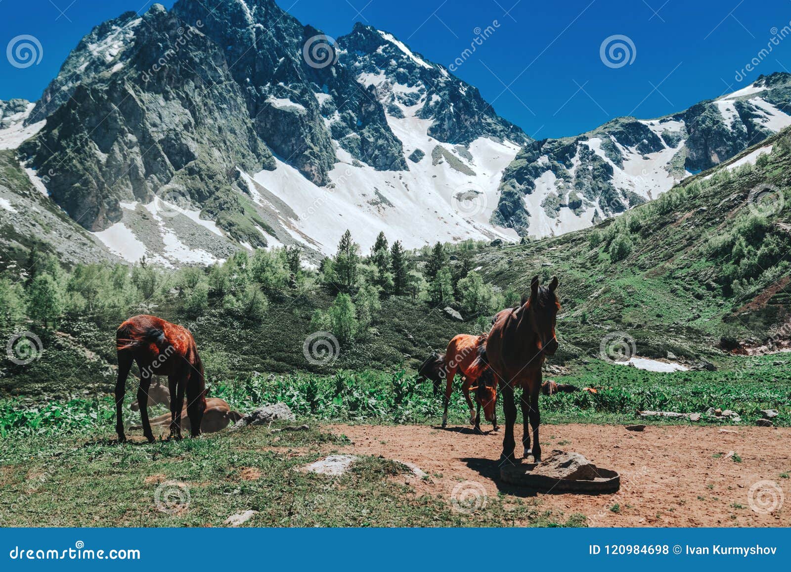 Beautiful Nature Caucasus Mountains Landscape Stock Photo - Image of ...