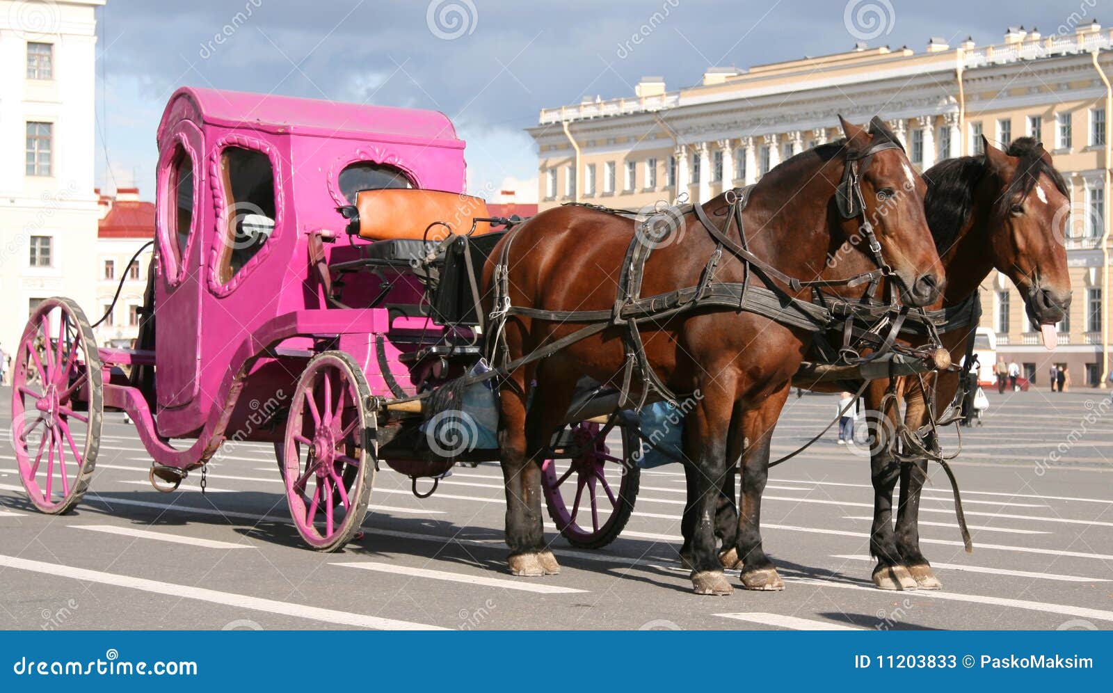 Horses Pulling Pink Carriage Stock Photos Image 11203833