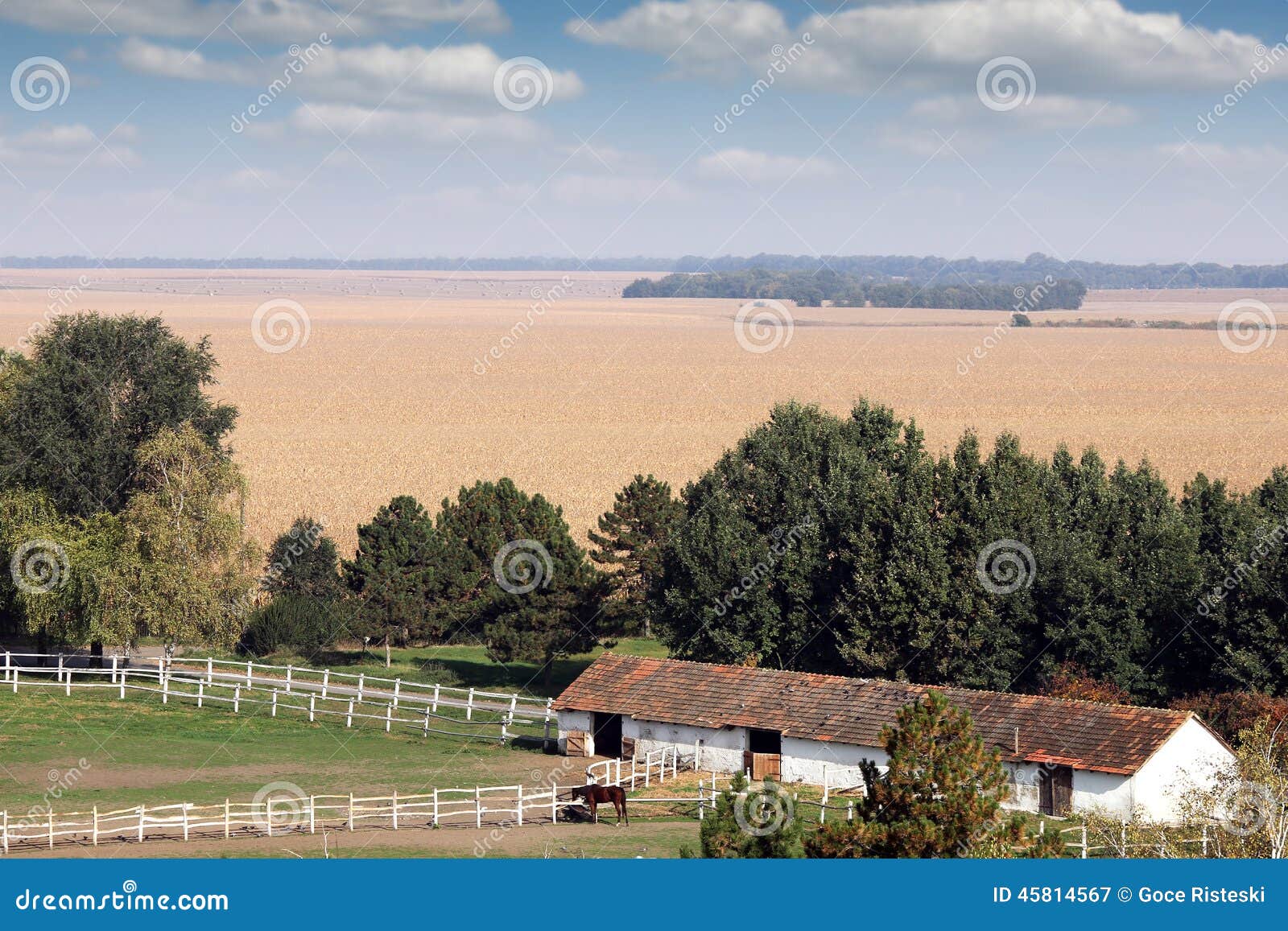 Horses on ranch farmland stock image. Image of farmland 45814567