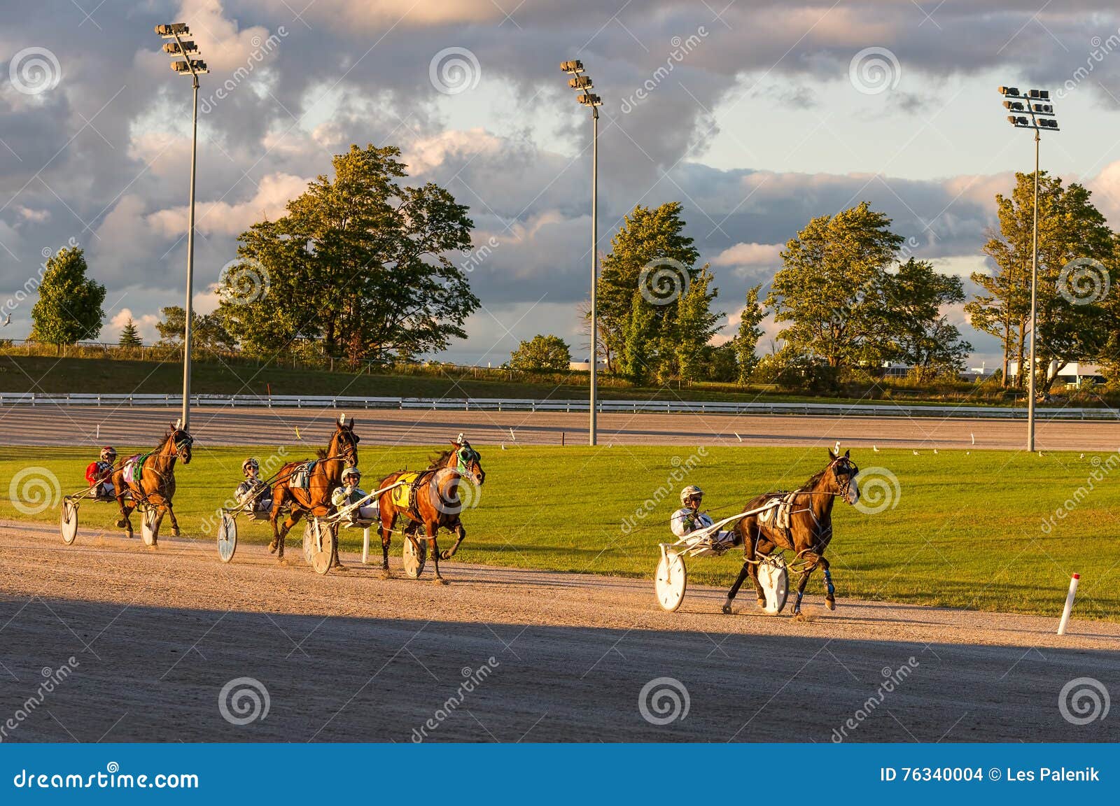Horses and Riders in Harness Race Editorial Stock Image Image of