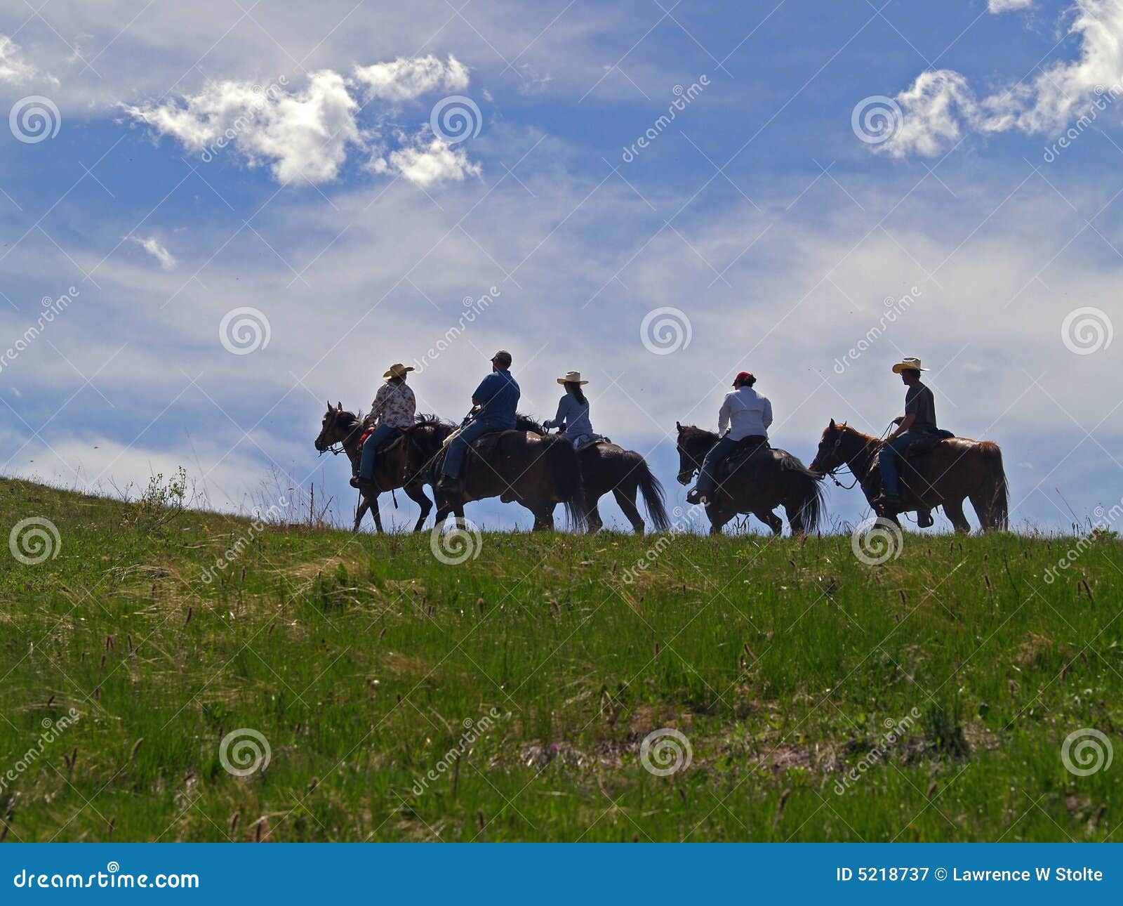 horses and riders on ridge