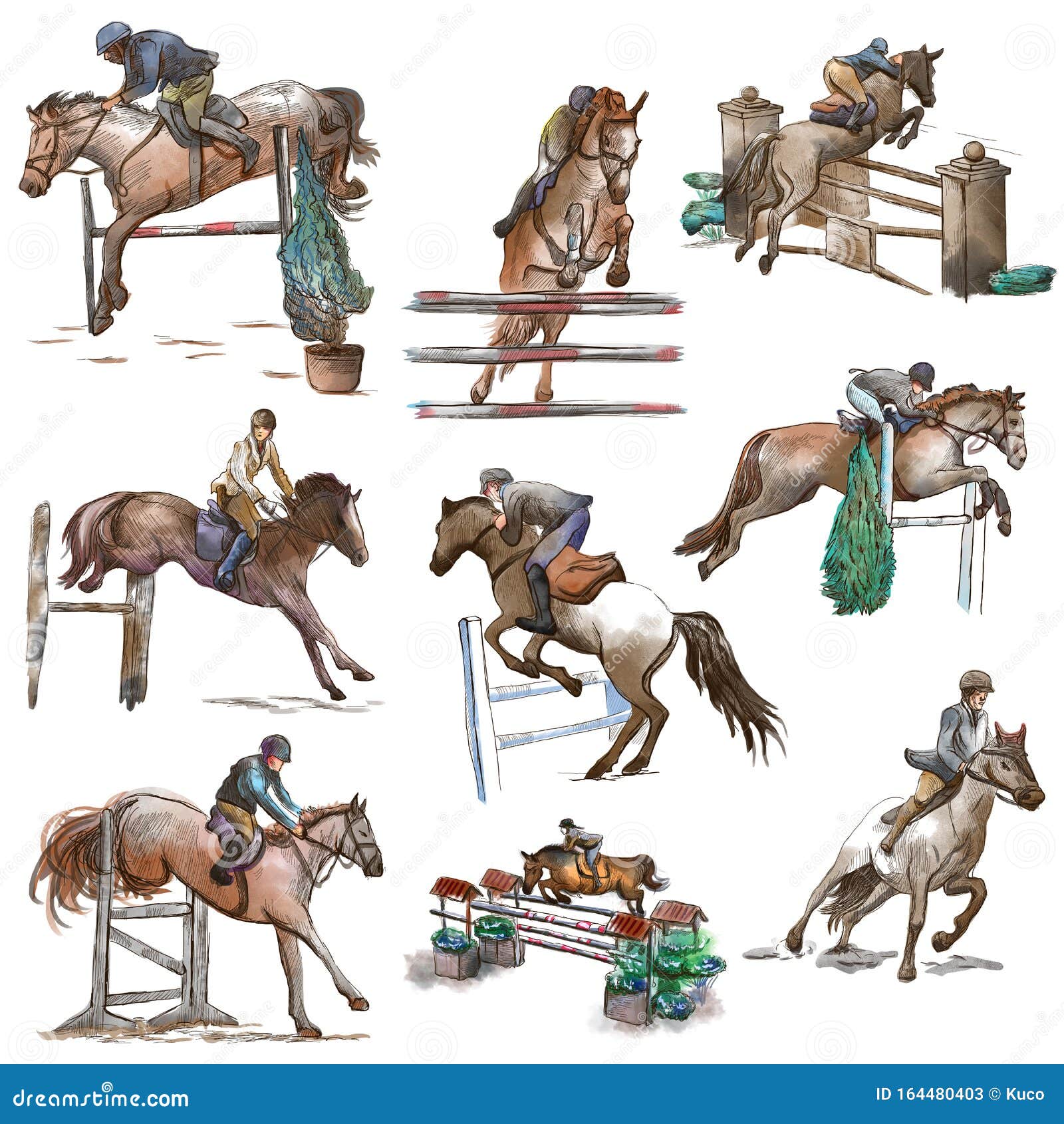 Horse Jump - Study Sketch - UPDATED! by Nachvoir on DeviantArt