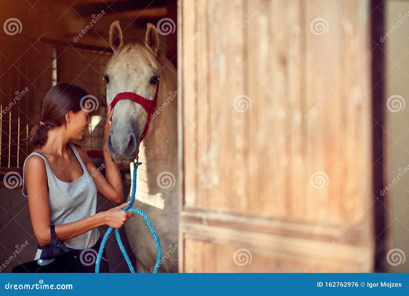 Horses in  Taking Care about a Horse on an Animal Ranch Stock  Photo - Image of people, girl: 162762976