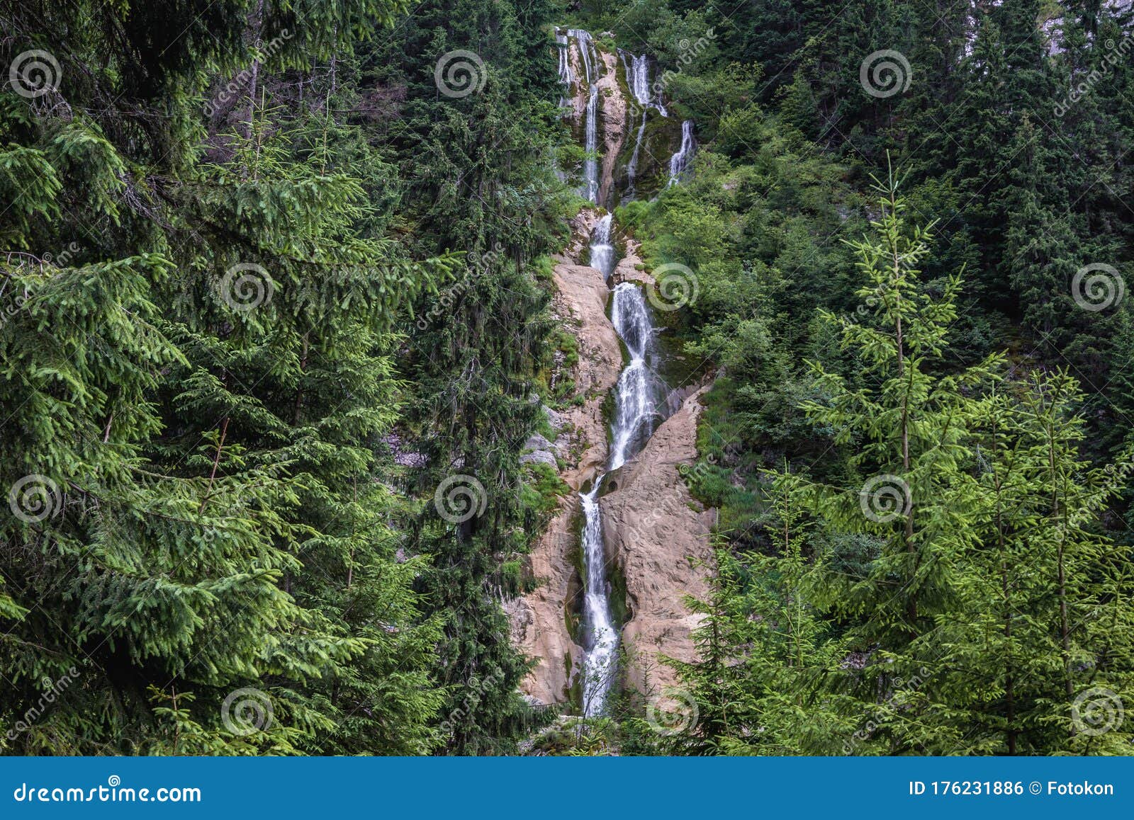 horses waterfall in romania