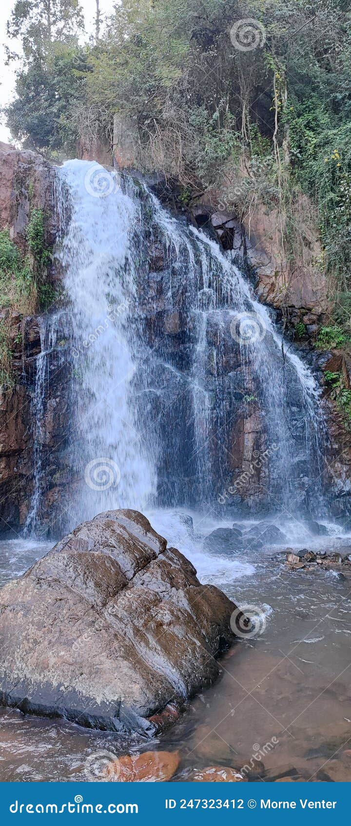 Horseshoe Falls Waterfall Rocks Stock Photo Image of stream