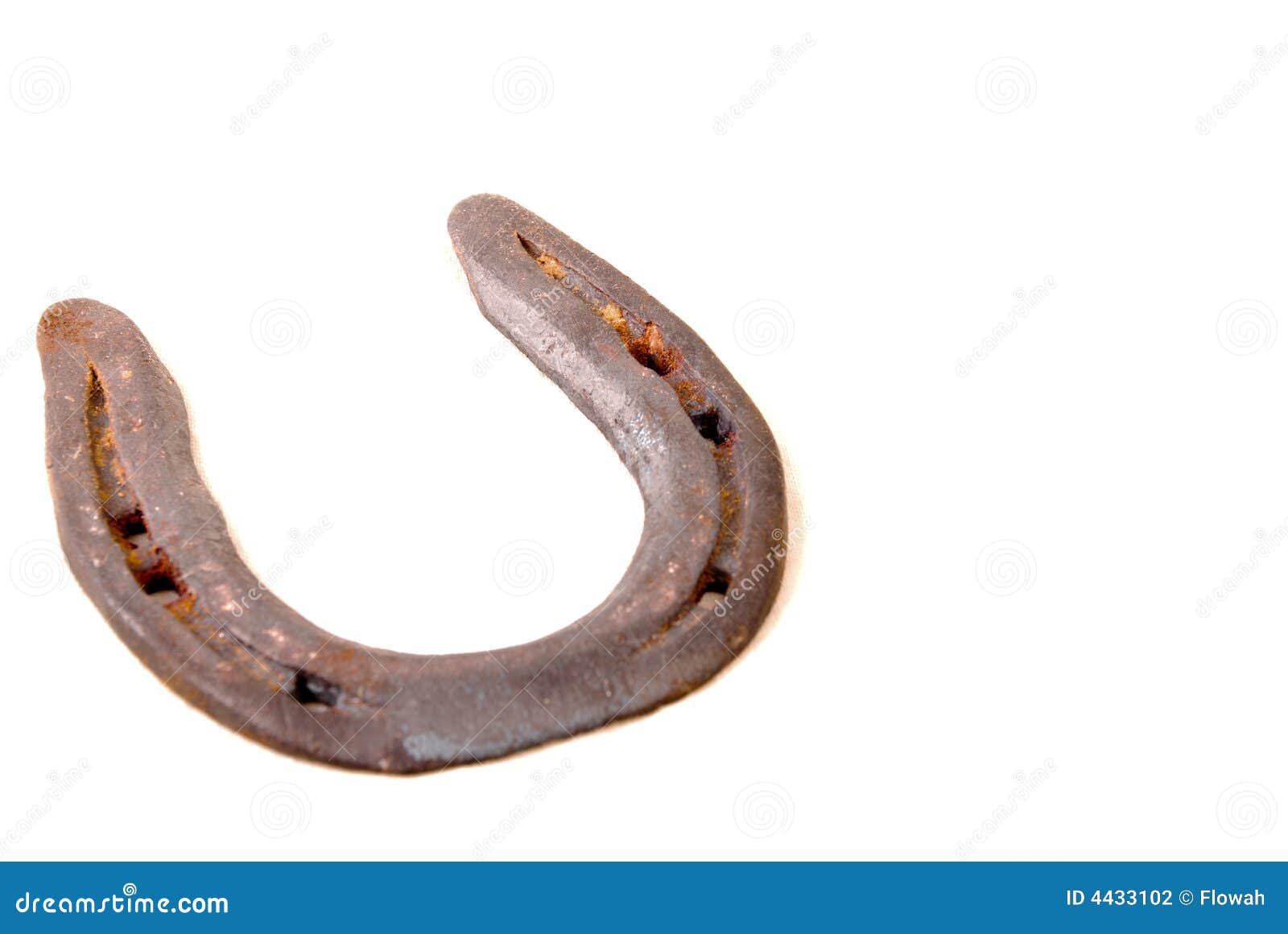 A horseshoe / horse shoe stock photo. Image of equine 4433102