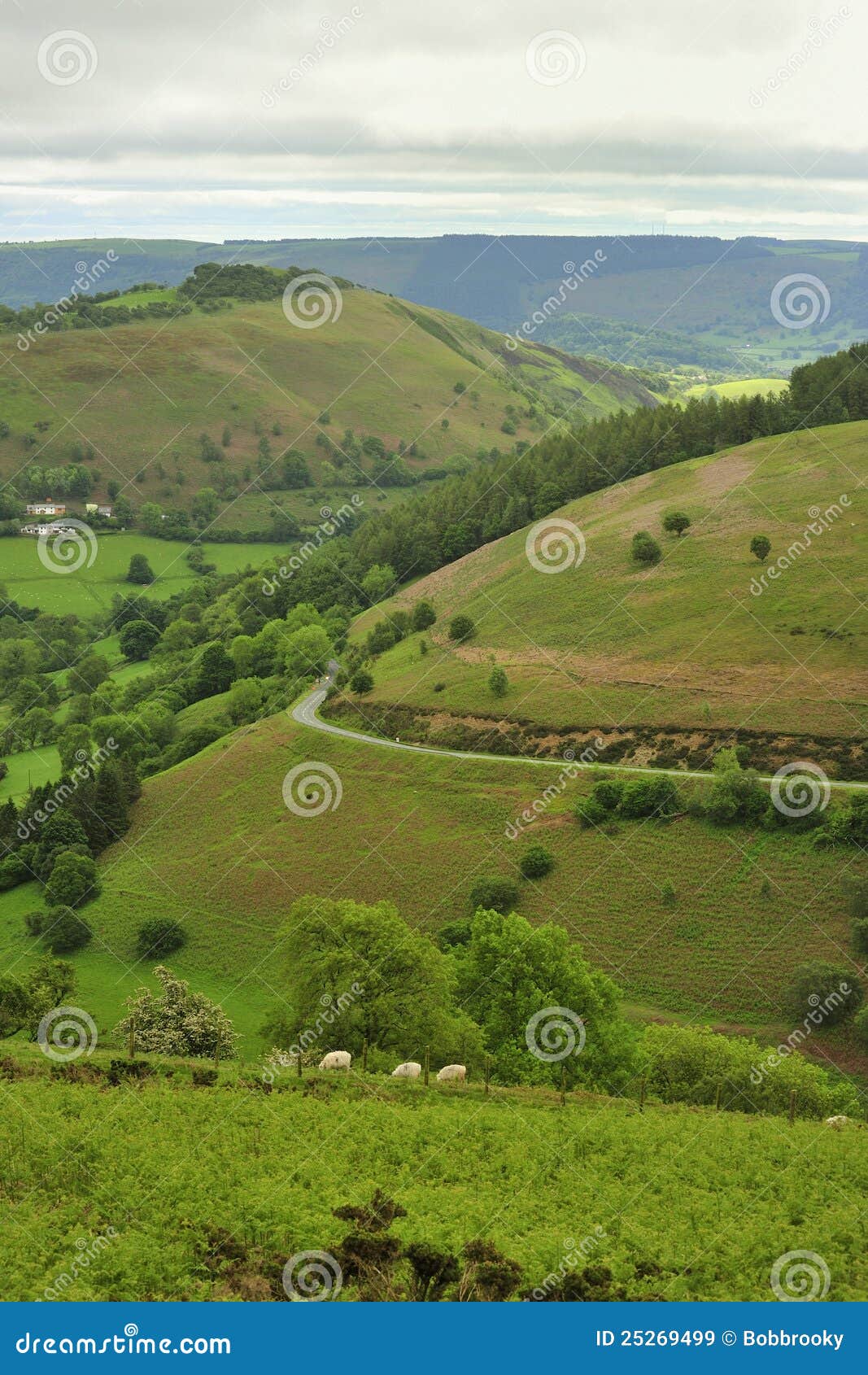 Horseshoe Pass, Llangollen, North Wales Stock Image Image of