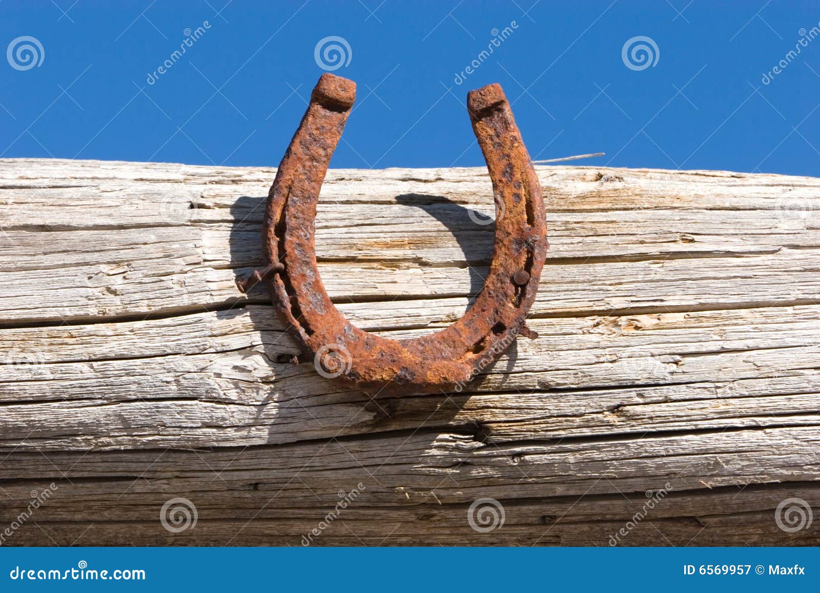 Horseshoe on the Wood Fence Stock Image Image of luck, deforestation