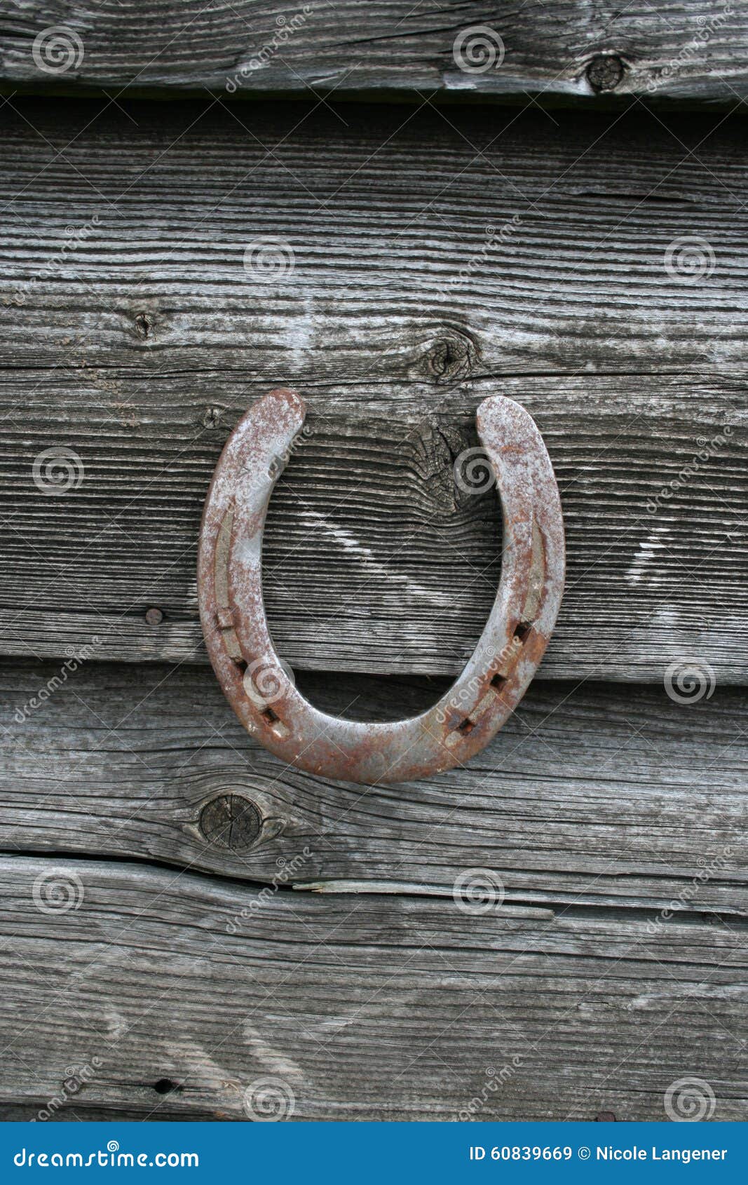 Horseshoe on wood stock image. Image of charm, horseshoe 60839669