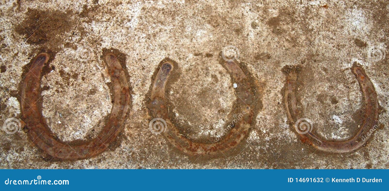 Horseshoes in Concrete stock photo. Image of metal, stable 14691632