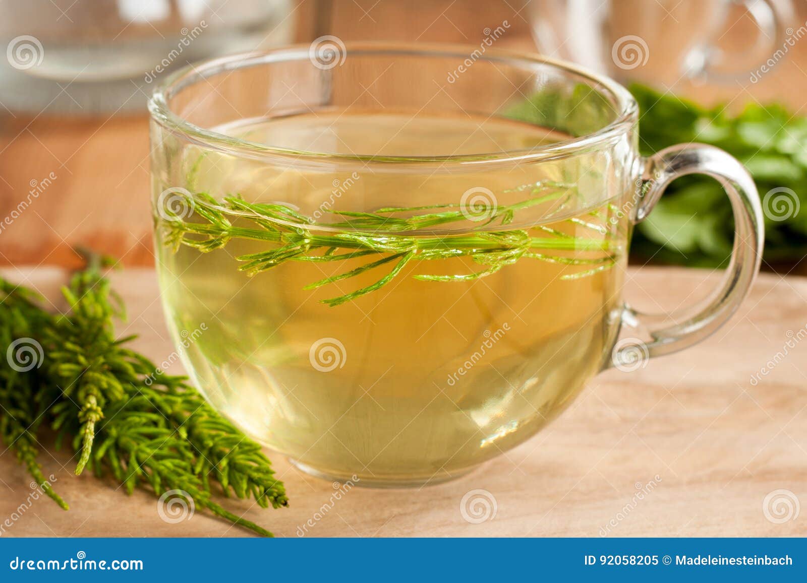 Horsetail Tea Made from Fresh Horsetail Stock Image Image of closeup