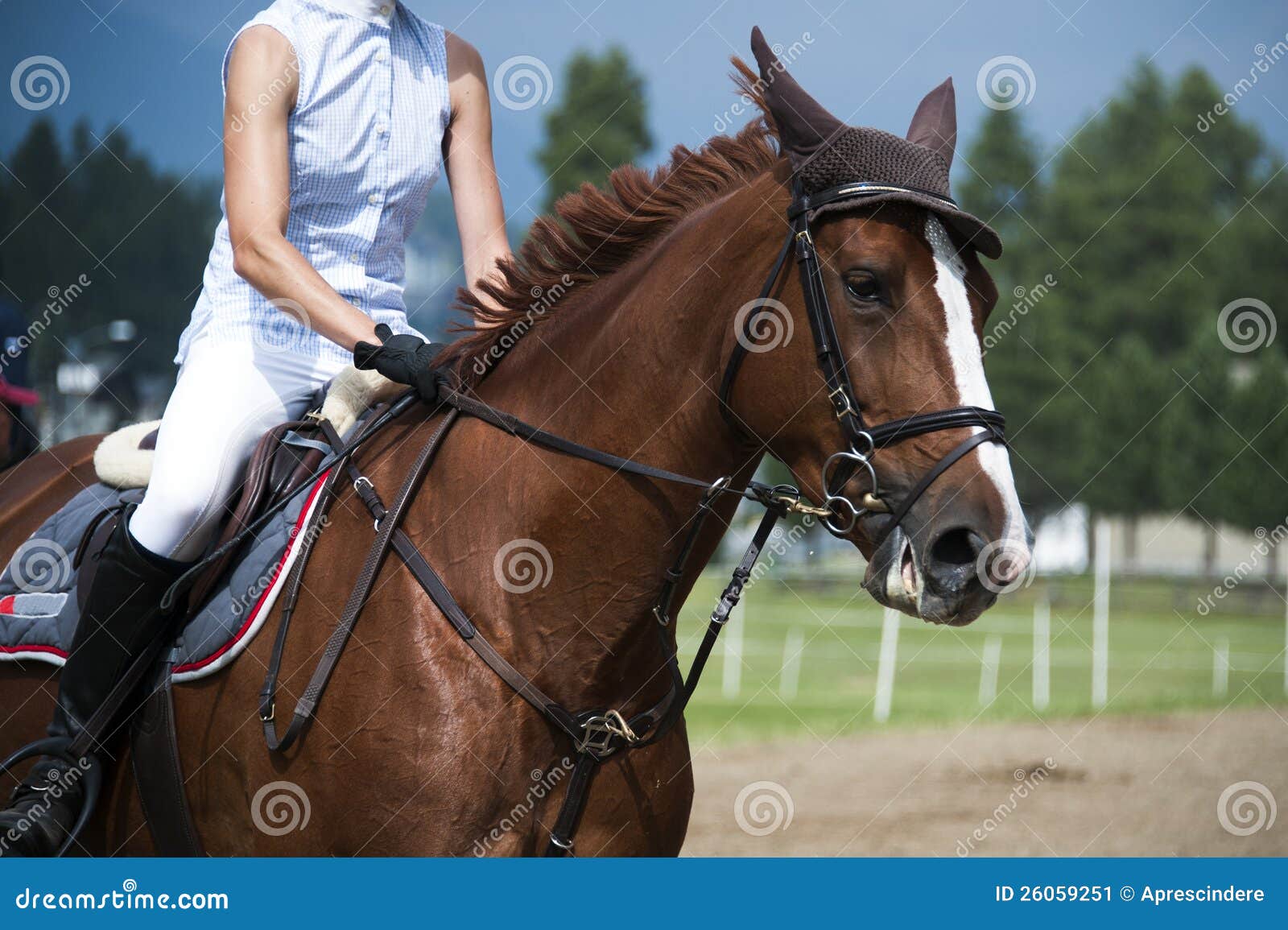 Horsewoman an einem springenden Erscheinen