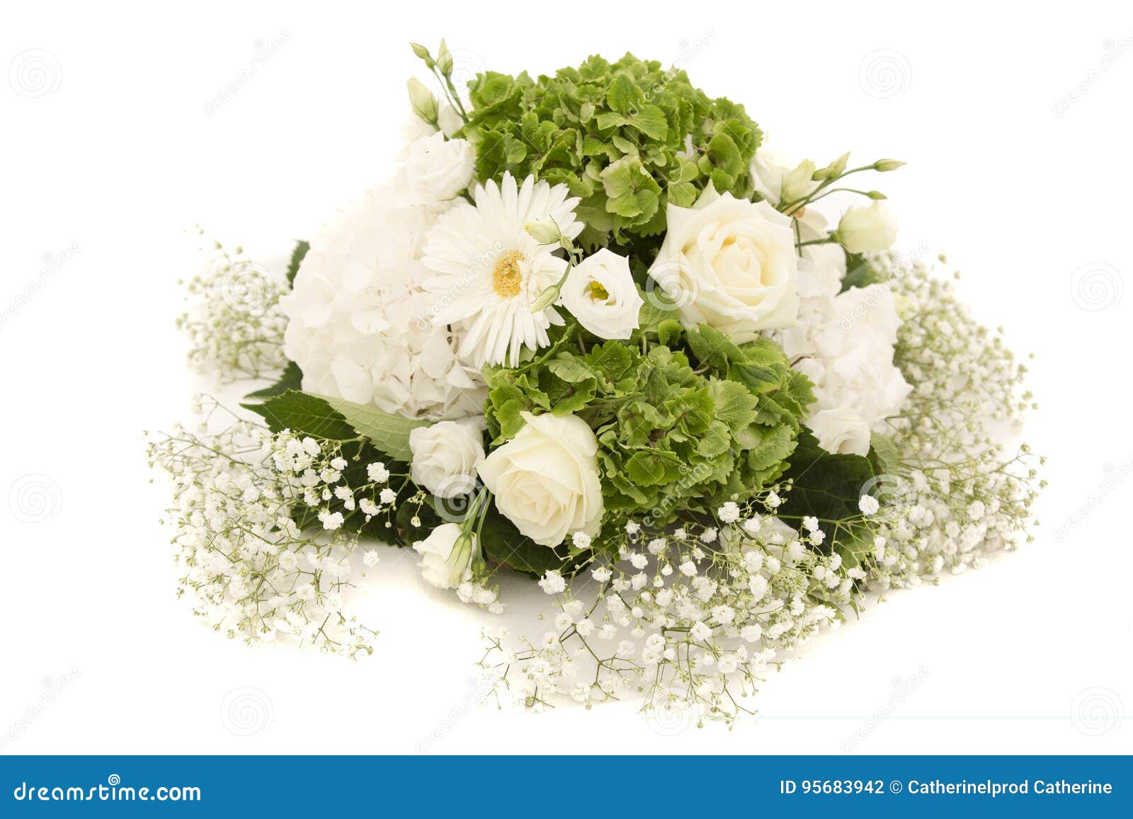Hortensia Blanco Y Verde U Ortensia De La Flor De La Hortensia Con Las  Rosas Blancas Y El Gypsophila Ornamentos De La Decoración Foto de archivo -  Imagen de blanco, romance: 95683942