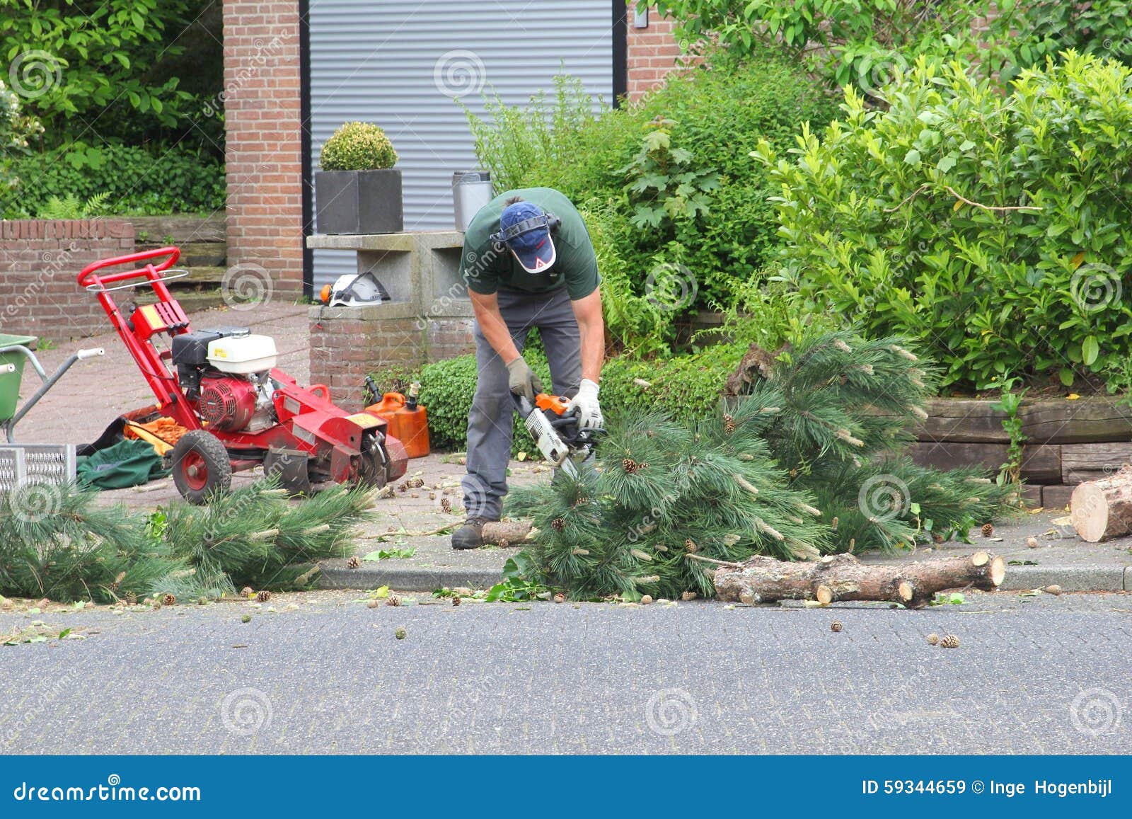 GA saw cutting tree Bremen trunks, best for hand