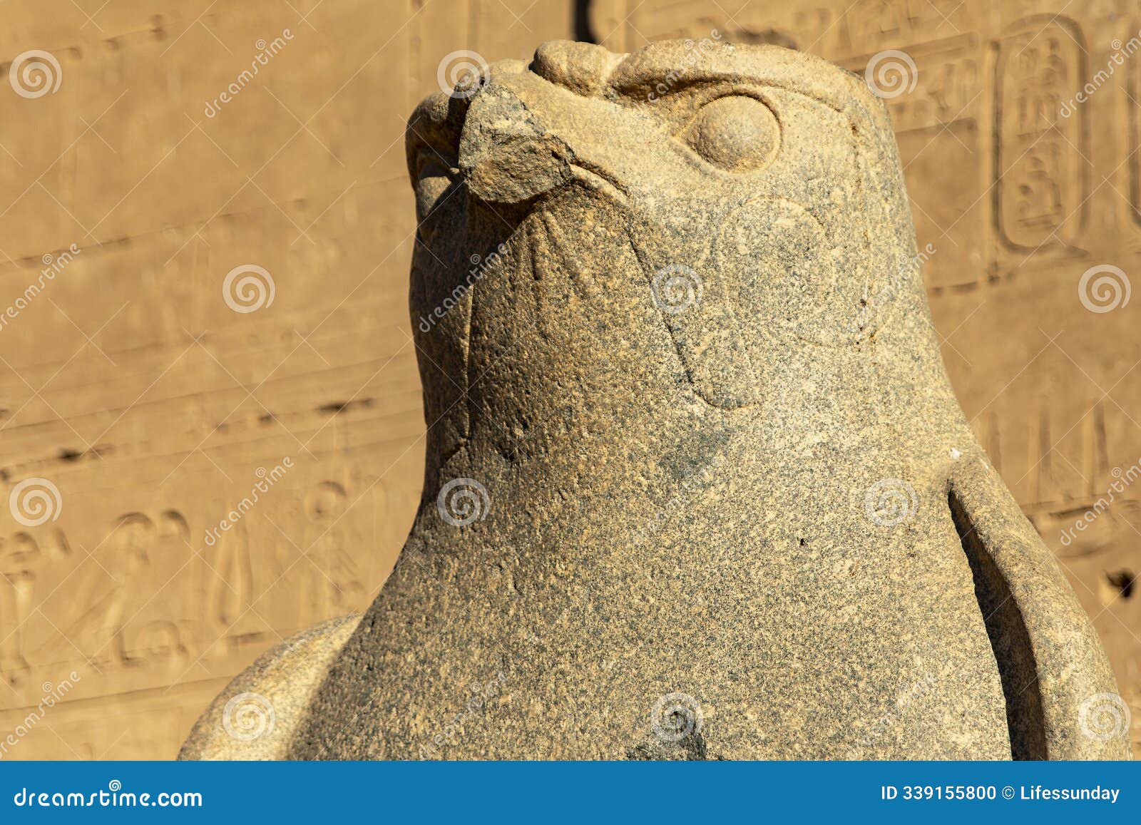 horus soars over edfu: the falcon god's majestic statue