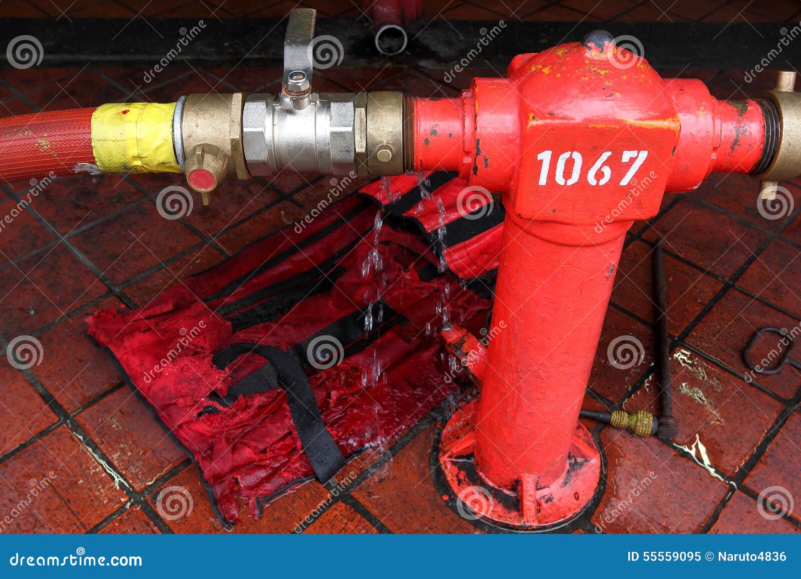 Hose Faucet Connection Leaking And Squirting Water Stock Image