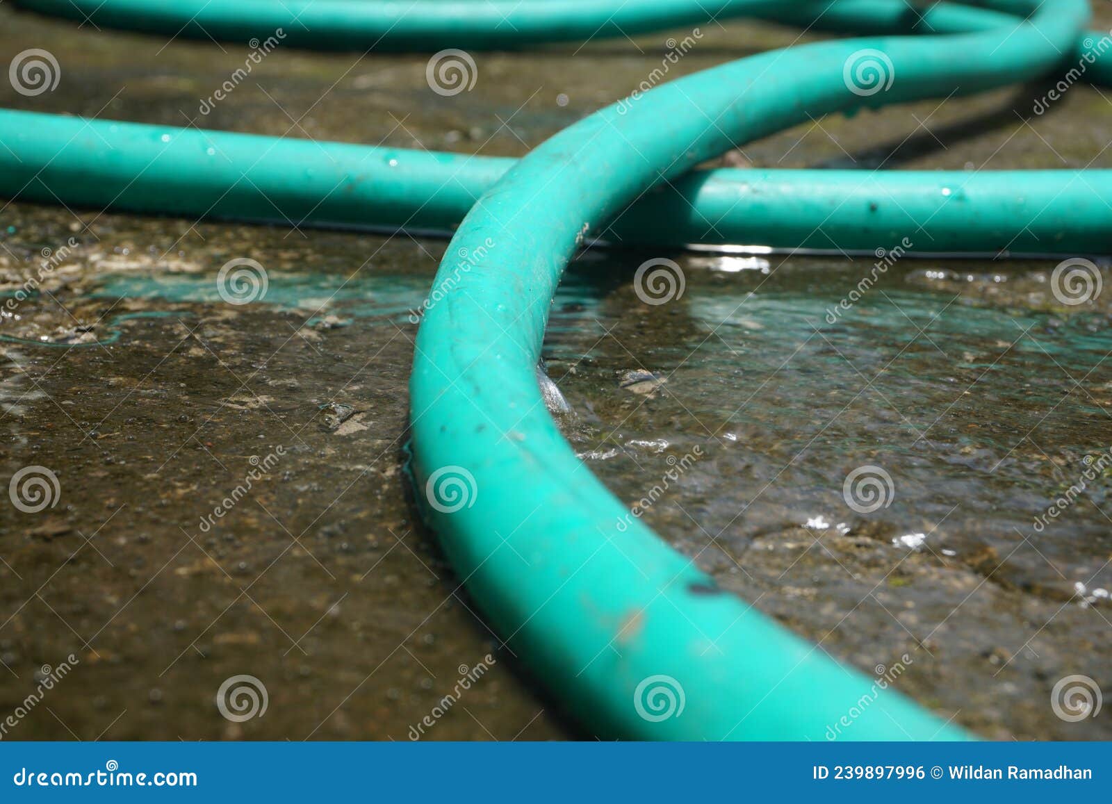 The Hose is Leaking Due To a Tear on the Side. Stock Photo Image of