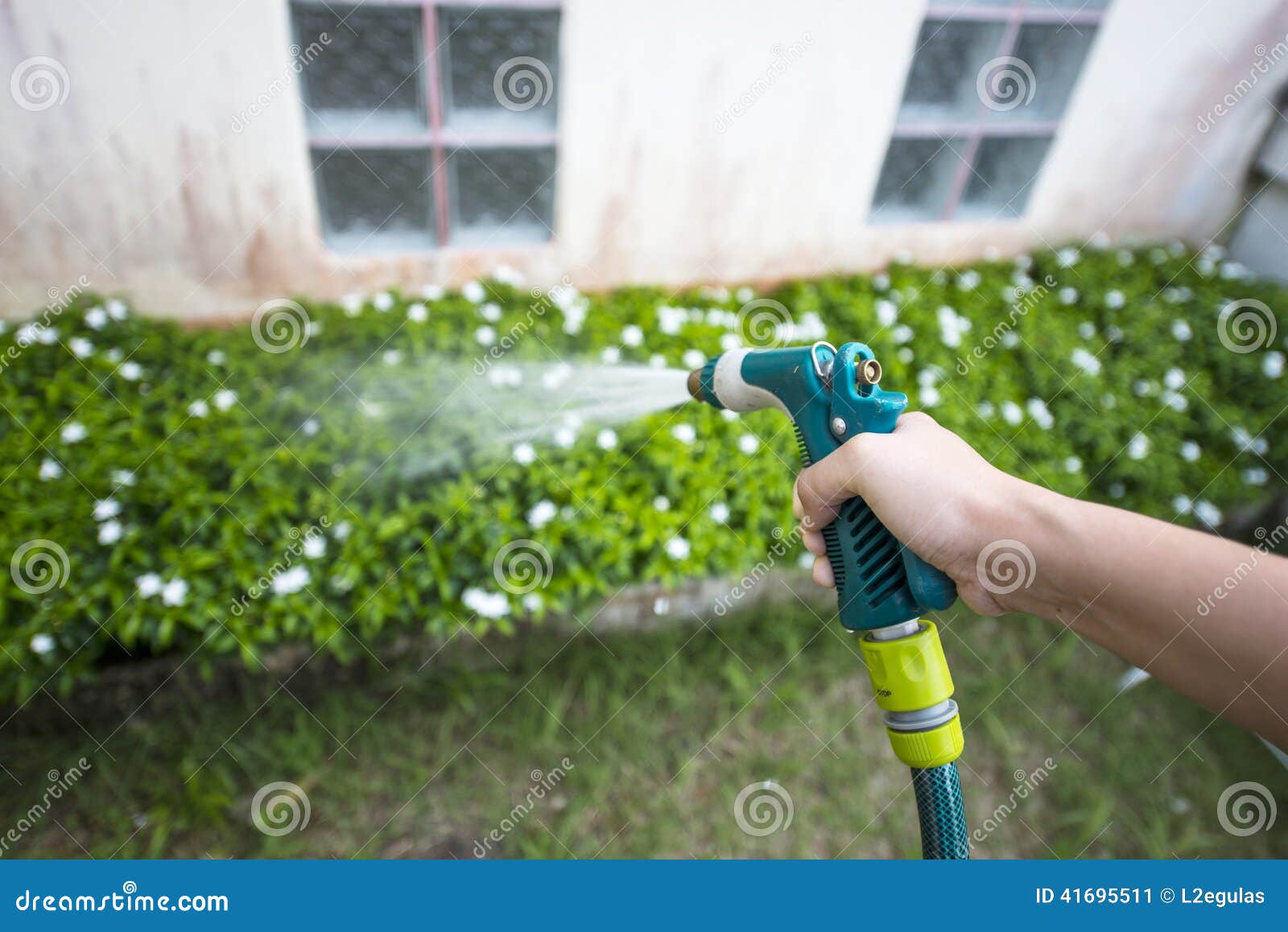 Hose nozzle spraying water stock image. Image of water 41695511