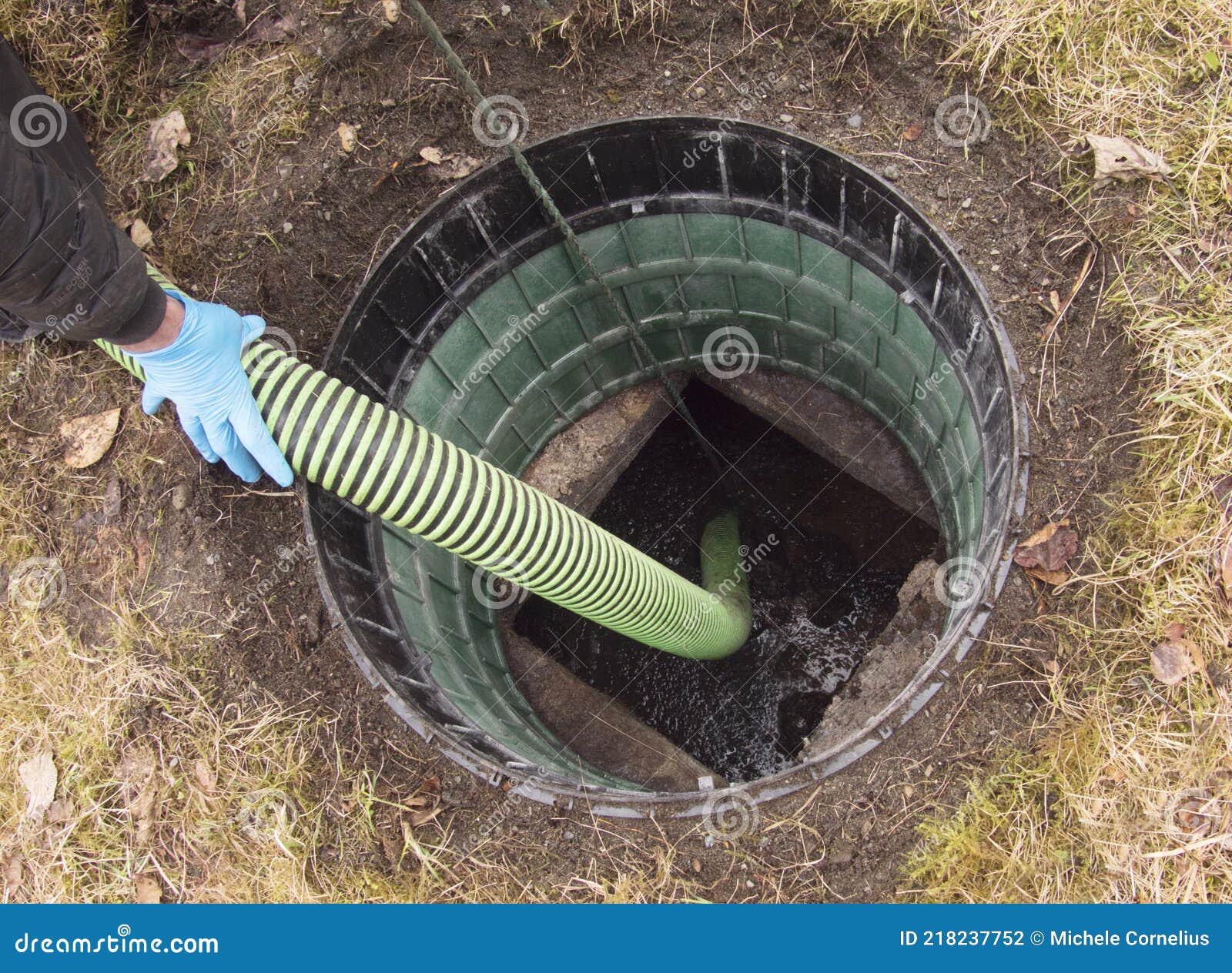 Hose Pumping Out Home Septic Tank Stock Photo Image of septic