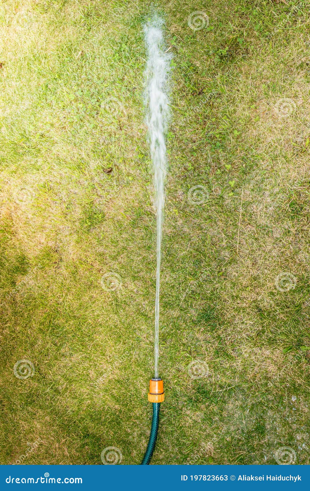 Hose with Water Jet/hose with Water Jet on the Green Grass. Top View