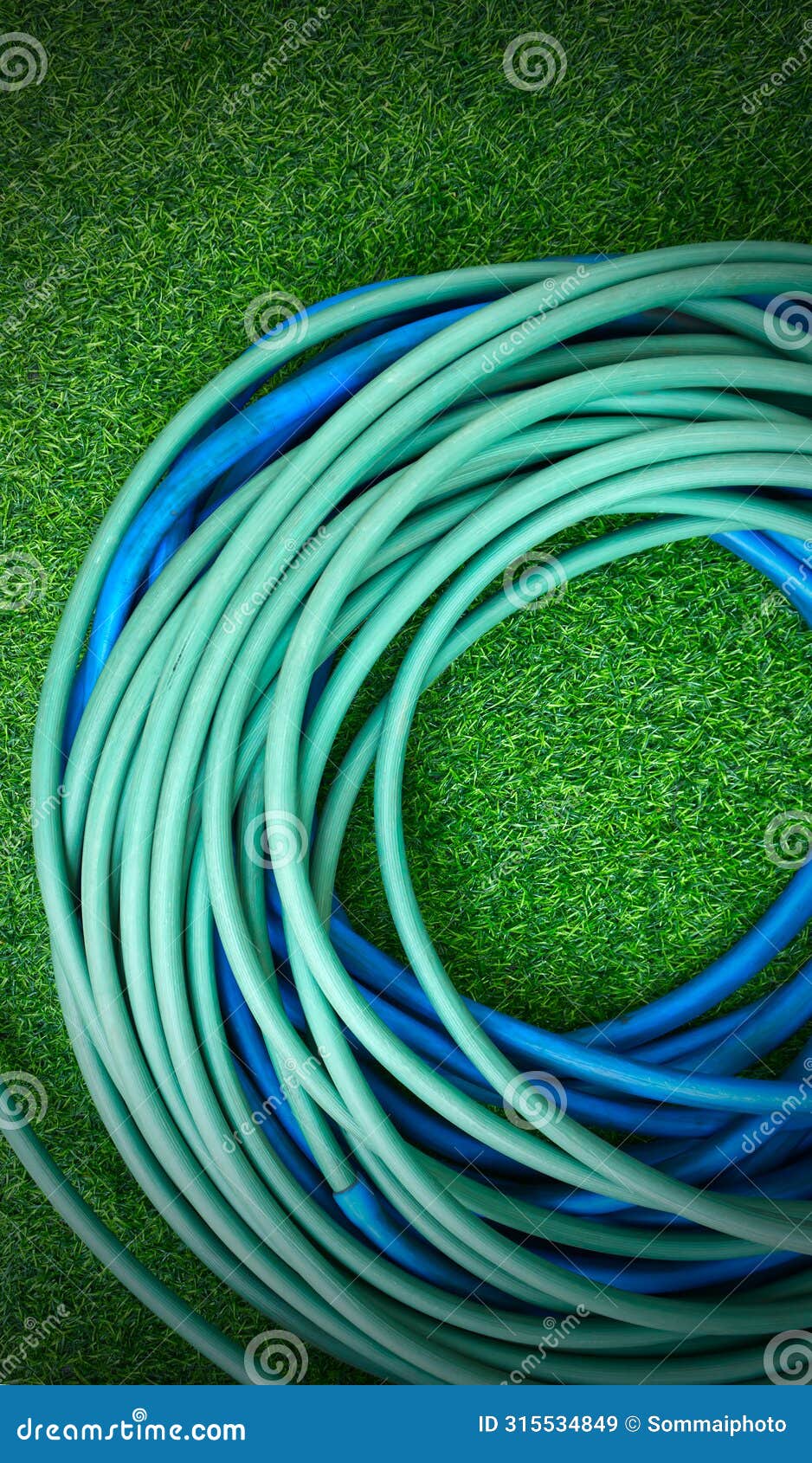 the hose watering plants on green artificial grass