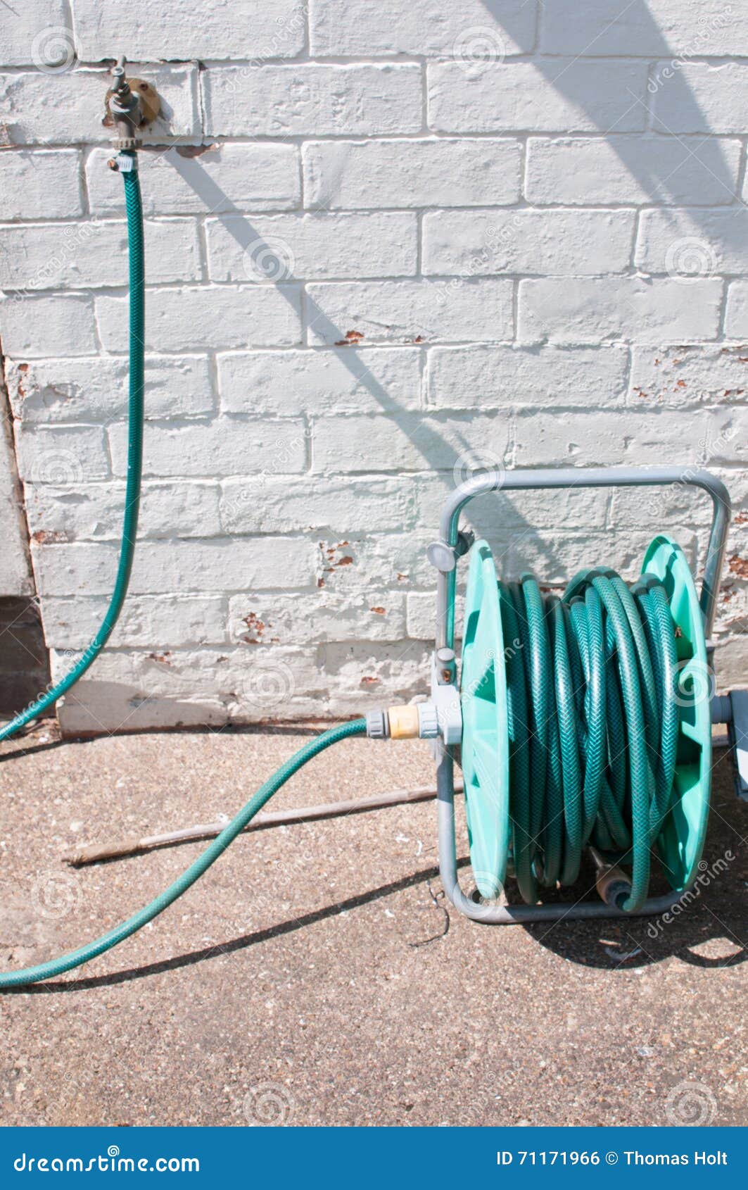 Hosepipe in the Sunny Garden Stock Photo Image of garden, hosepipe