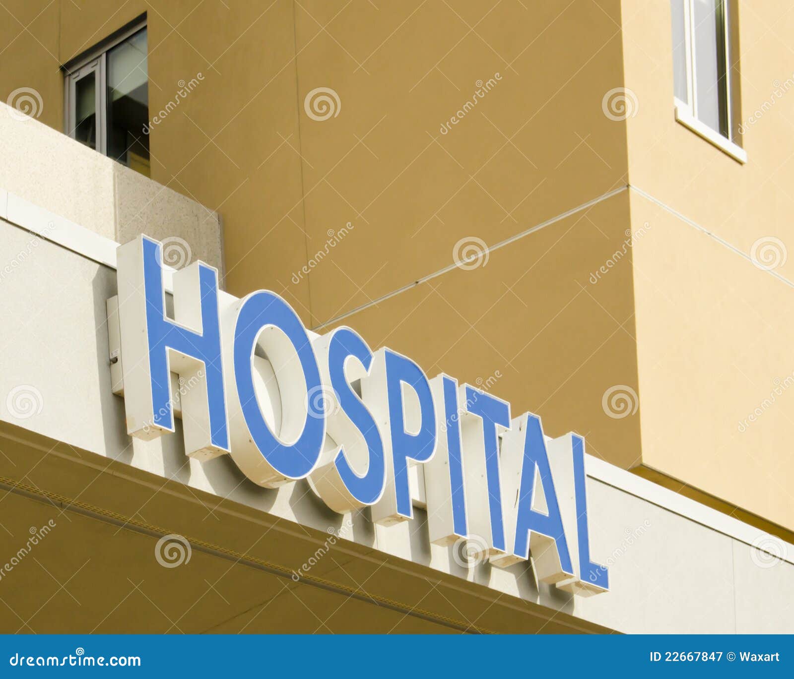 My Image 18