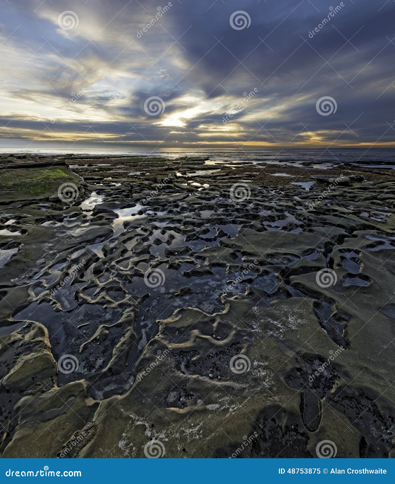 hospitals reef in la jolla, california