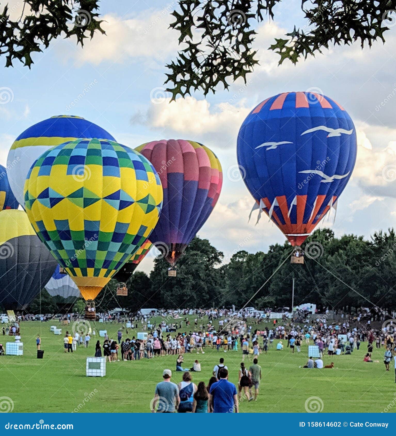 Hot Air Balloon Festival in Piedmont Park, Atlanta Editorial