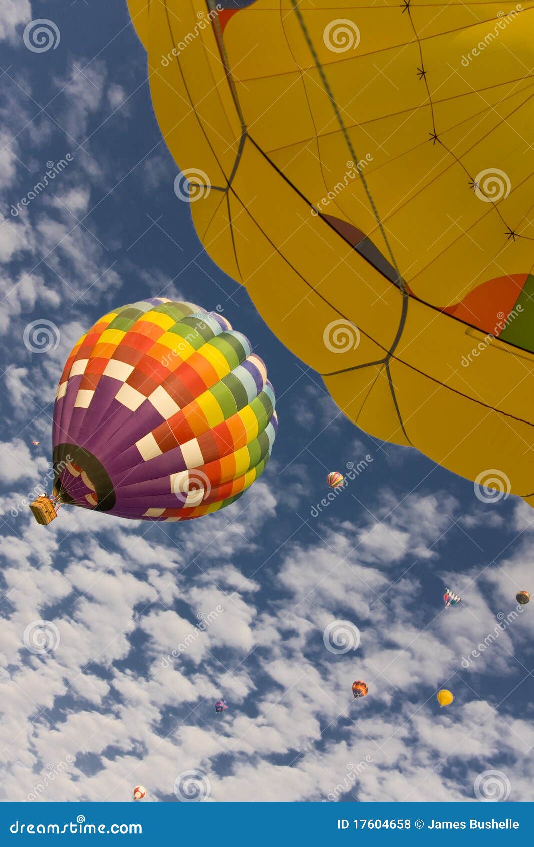 hot air balloons in flight