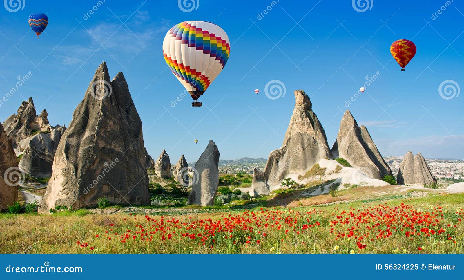hot air balloons flying over a field of poppies, cappadocia, turkey