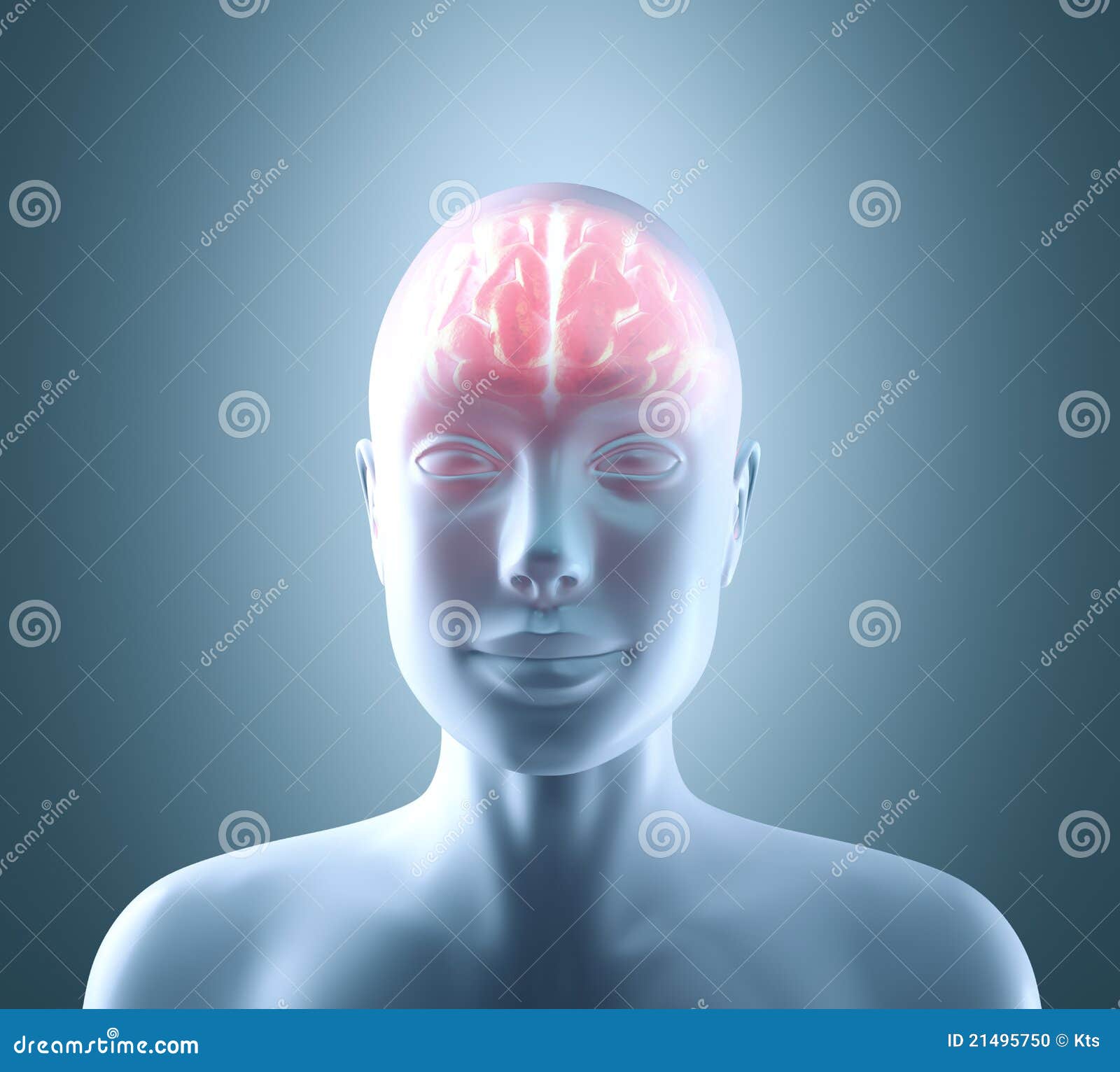 Hot Brain stock illustration. Illustration of anatomy - 21495750