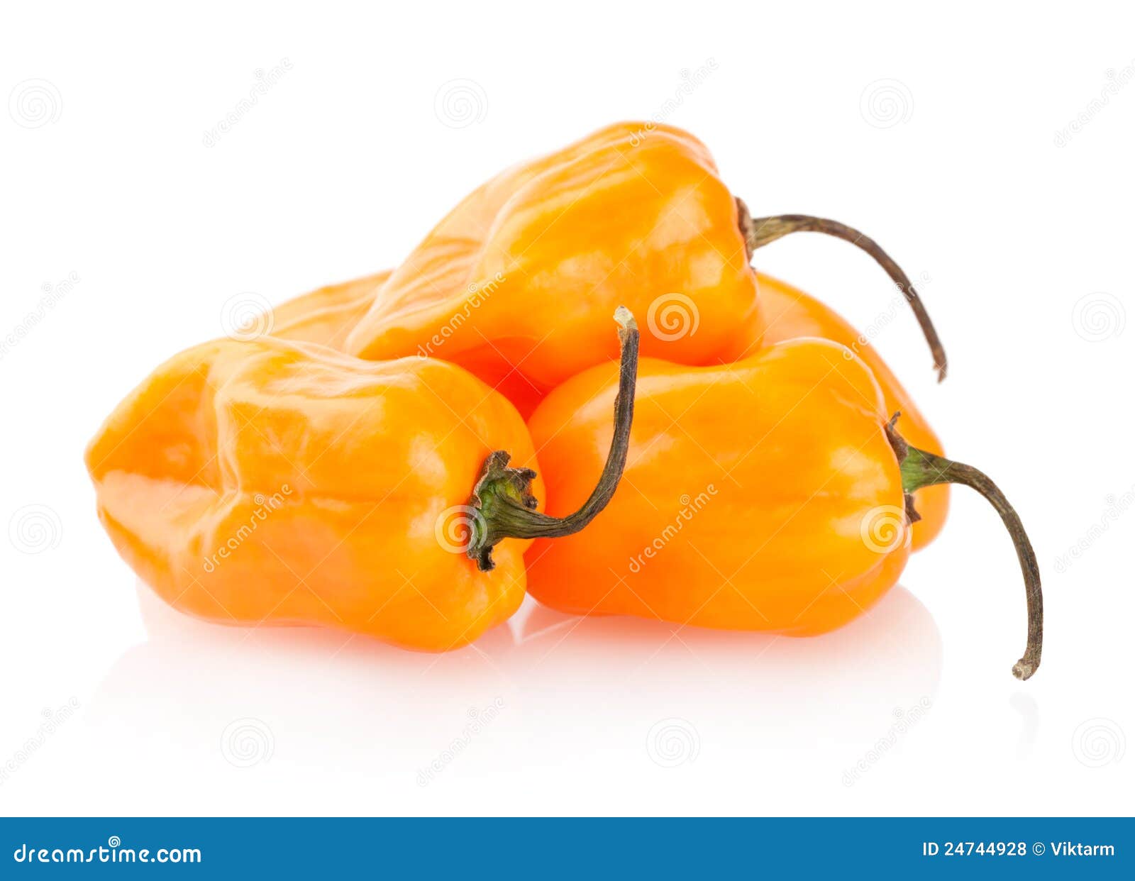 Hot cayenne peppers stock photo. Image of pepper, green 24744928
