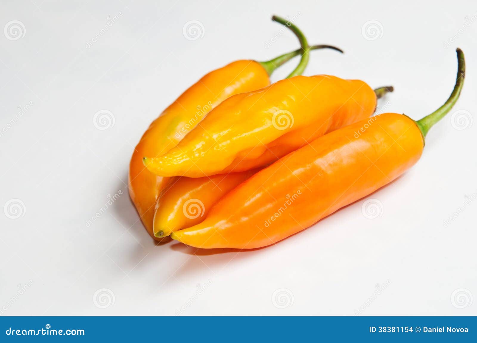 hot chili aji amarillo.